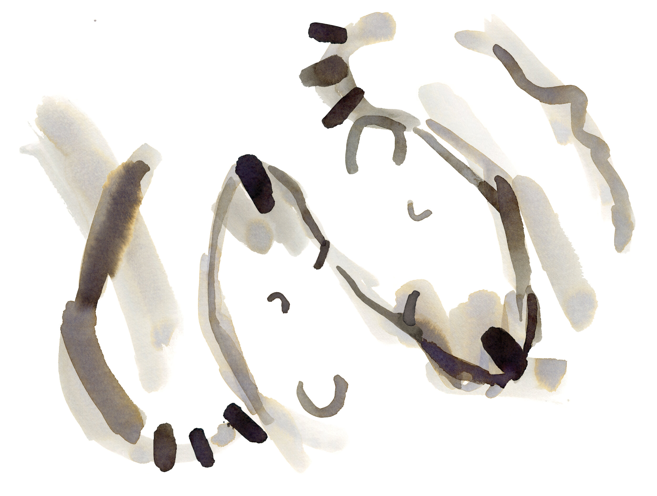 Polar Bear Love Card Web.jpg