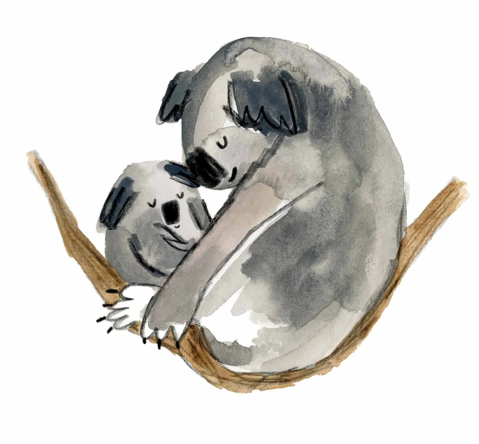 Koala mum 4 online.jpg