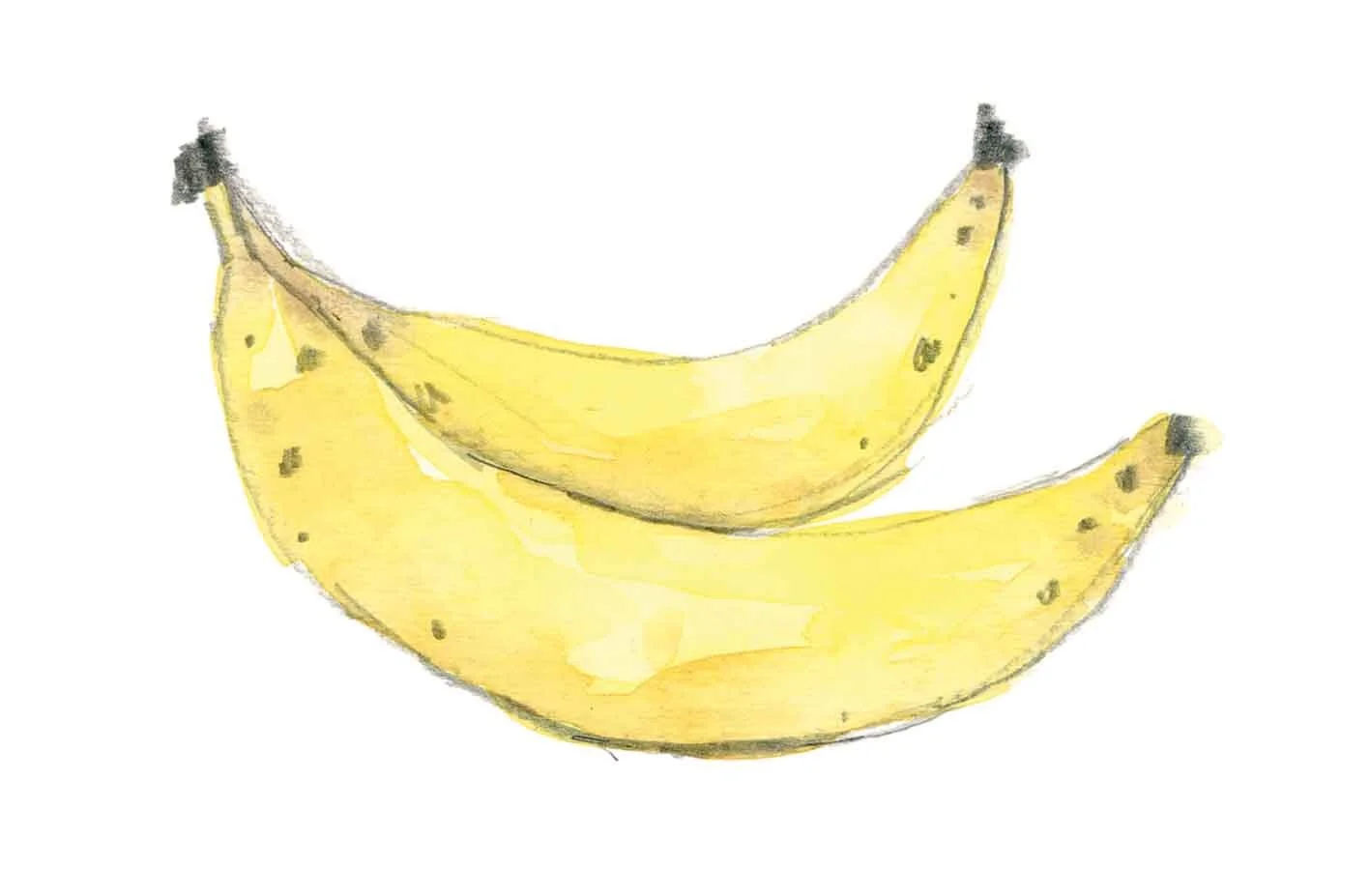Bananas online.jpg