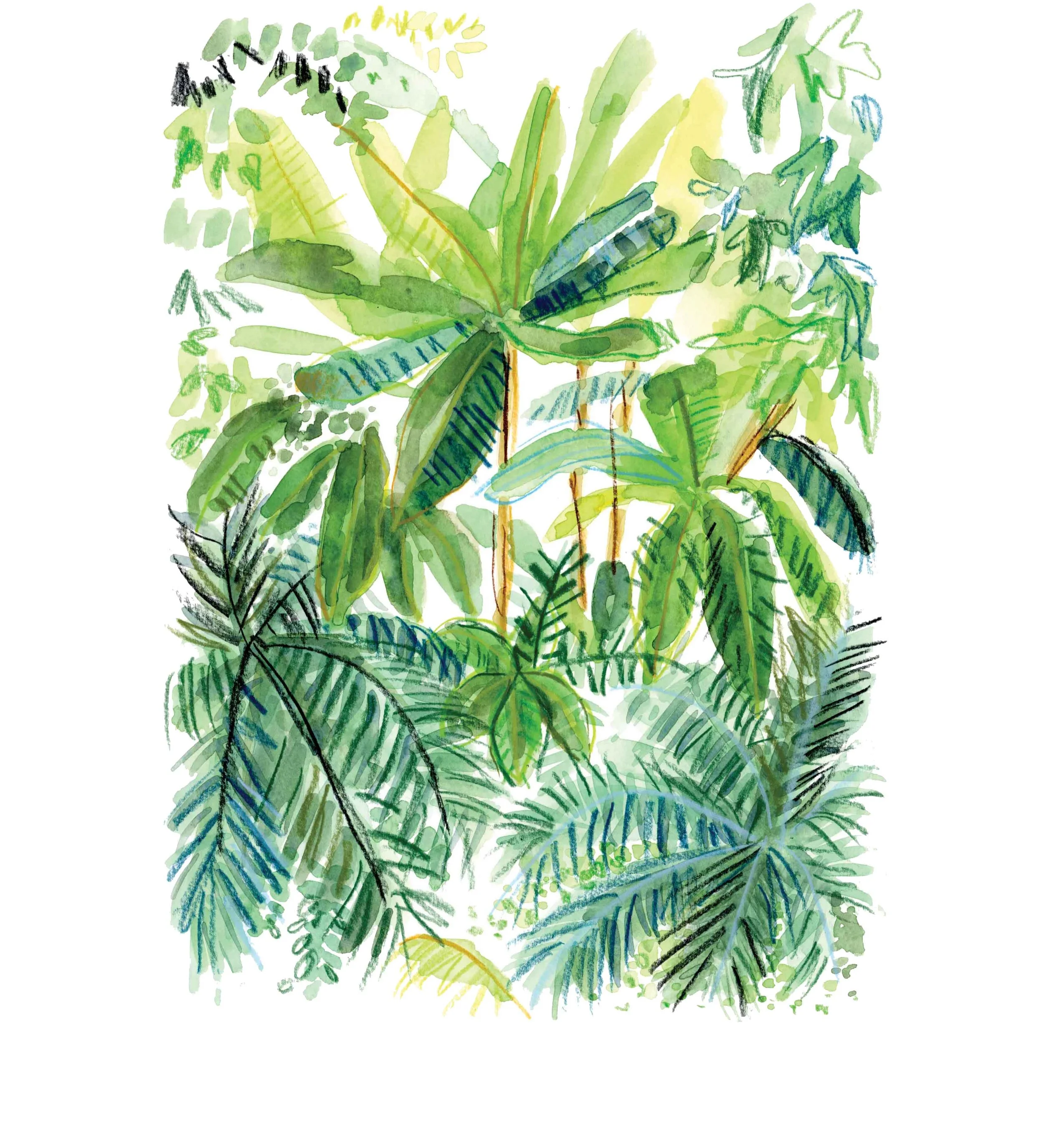 Botanic 2 online copy.jpg