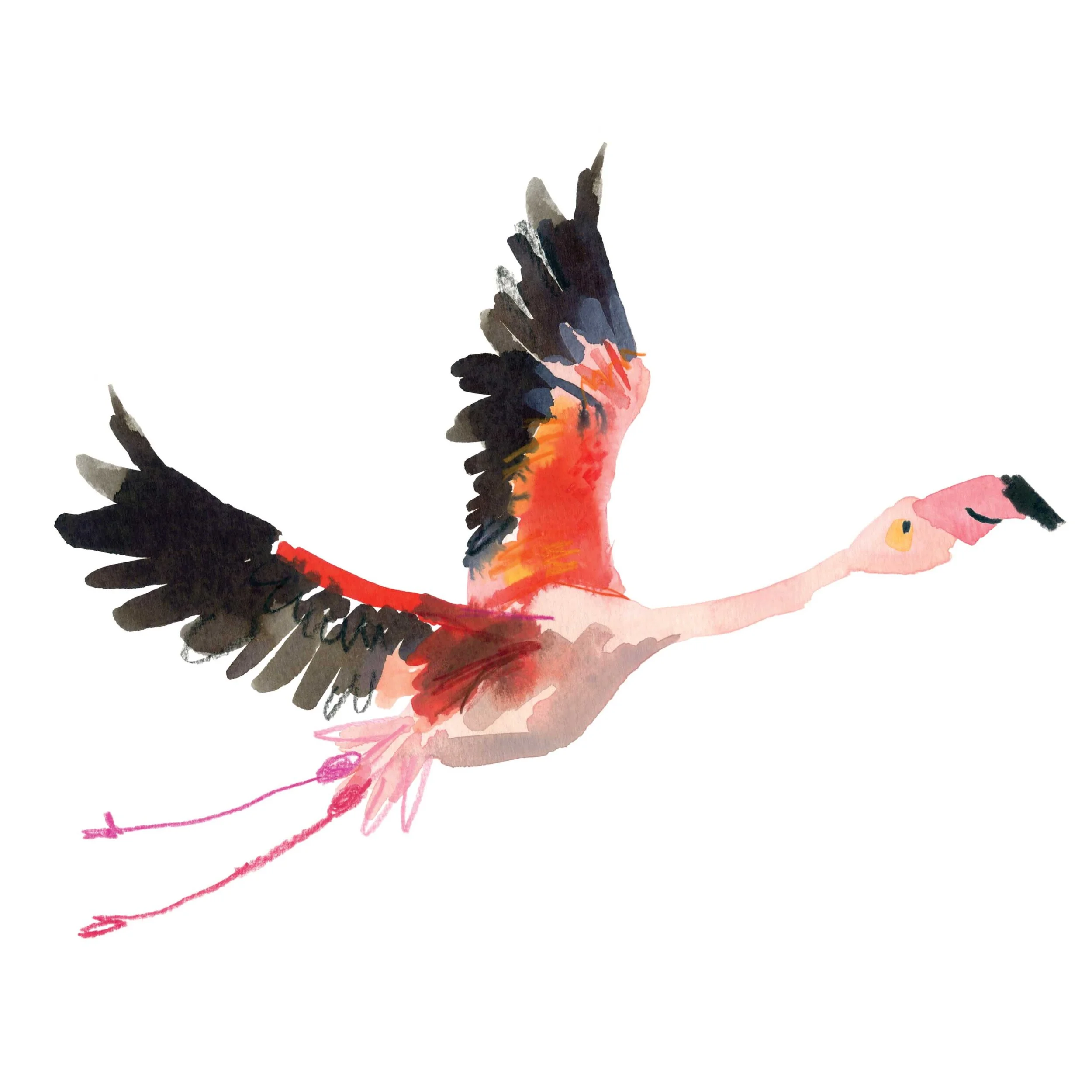Flamingo online.jpg