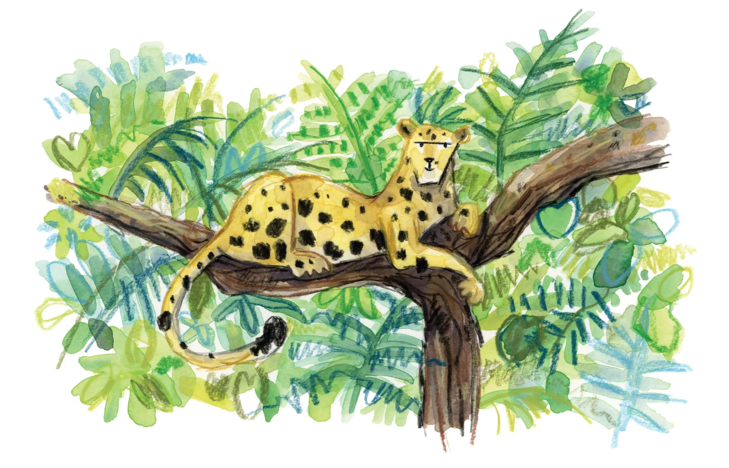 Leopard for card insta 1.jpg