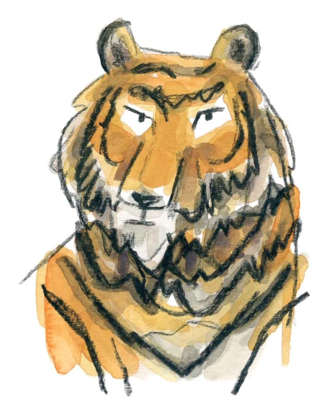 Tiger.jpg