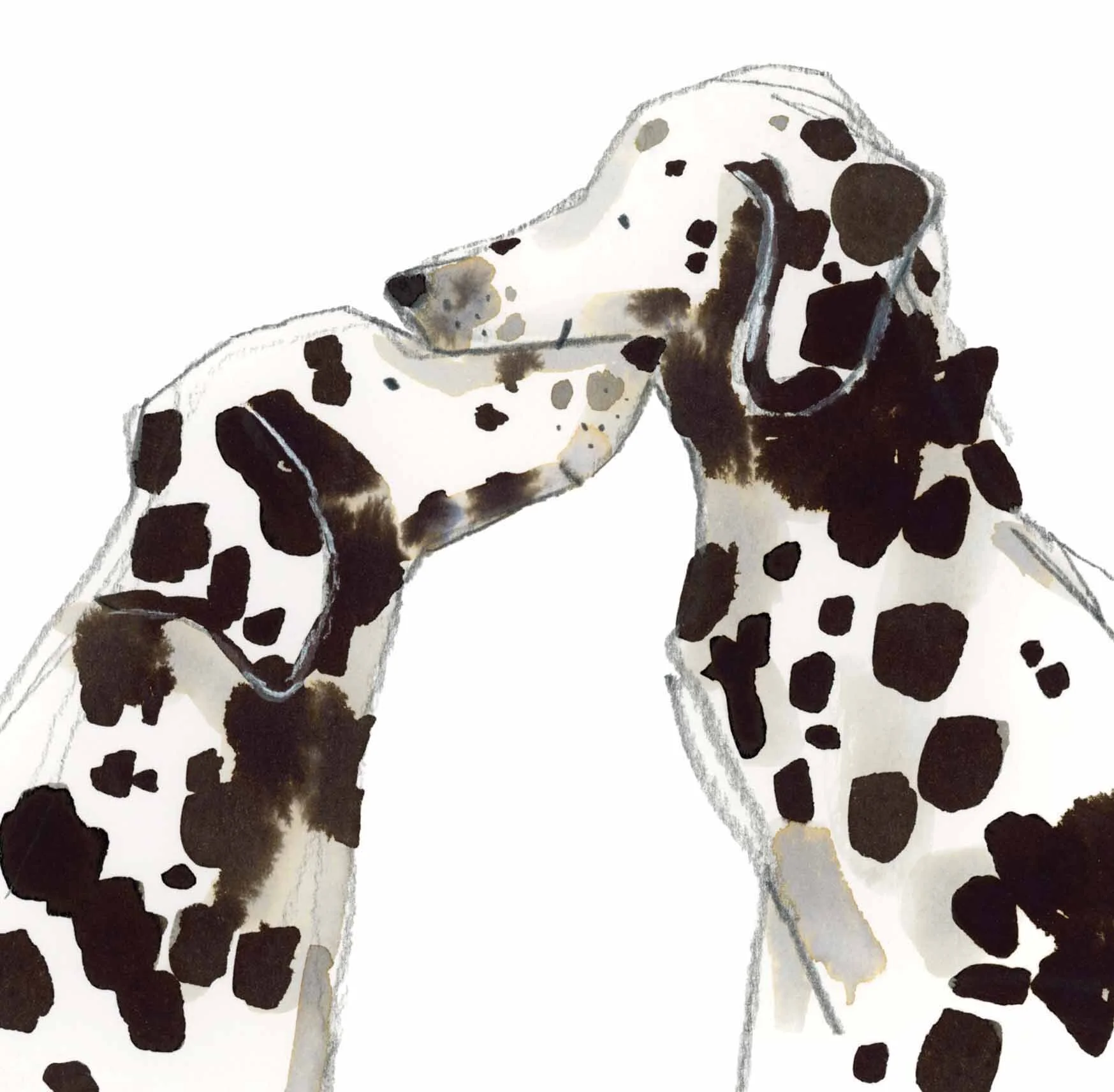 Dalmations online.jpg