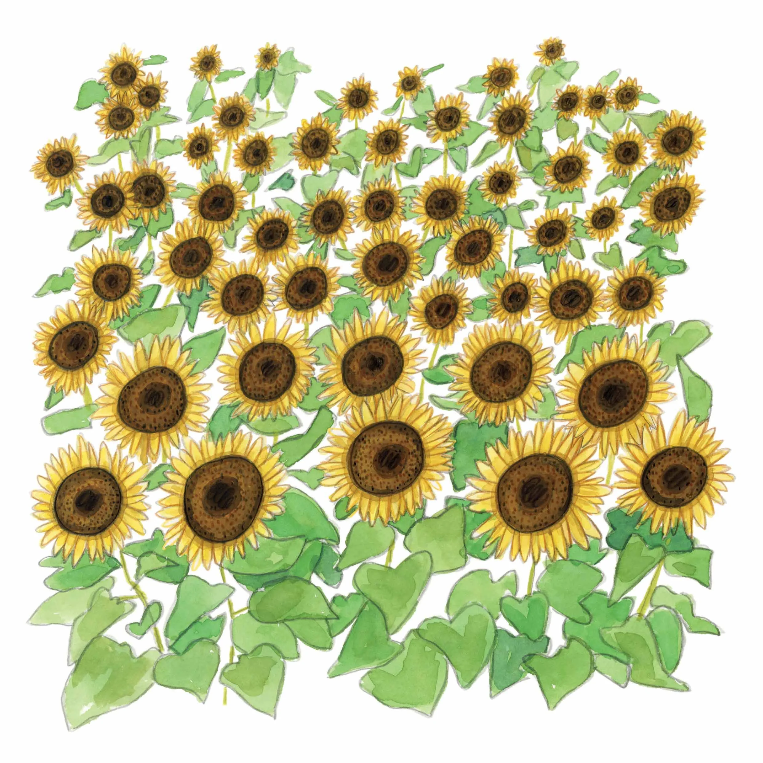 Sunflowers full file online.jpg
