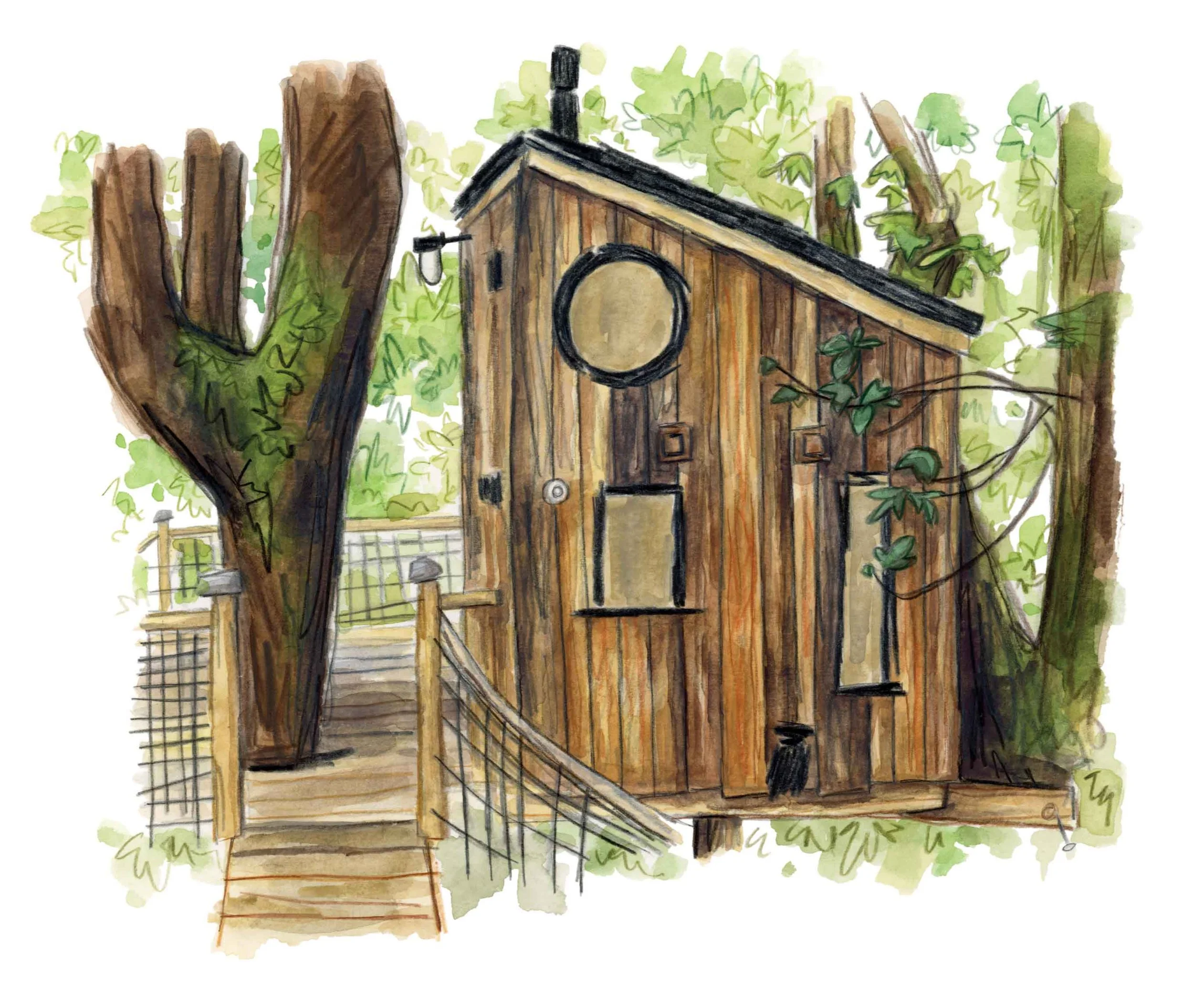 The Bird Box Illustration online.jpg