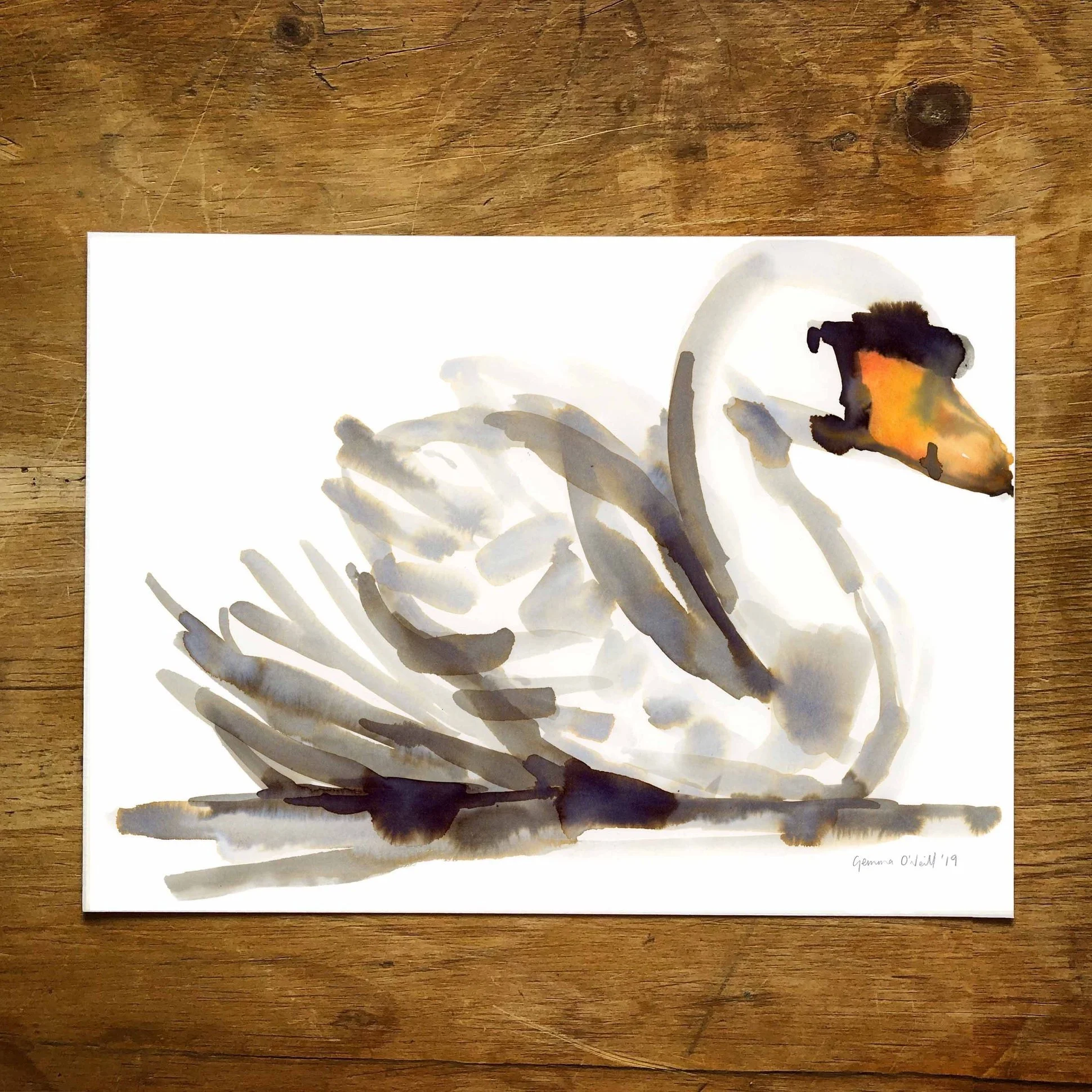 swan+orginal+promo+1+online.jpg