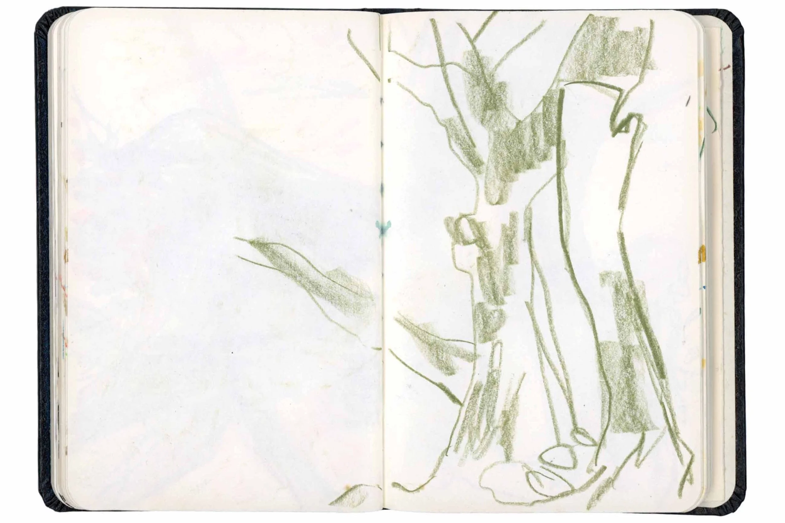 Tollymore+Sketch+%285%29+online.jpg