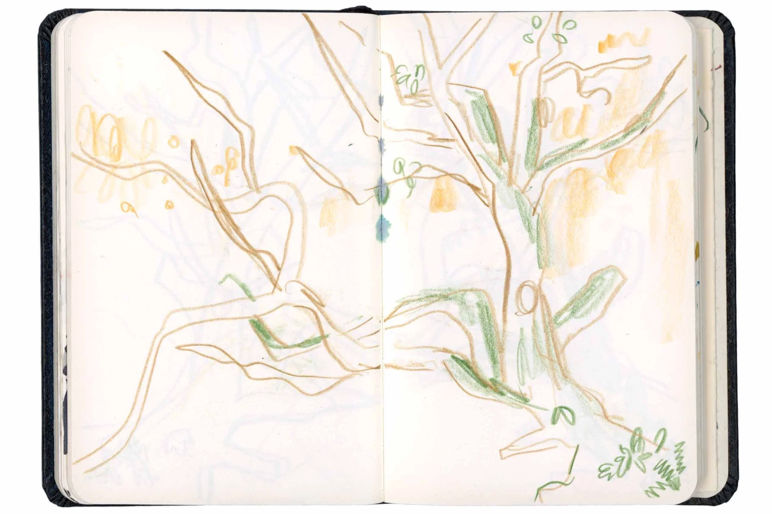 Tollymore+sketch+%284%29+online.jpg