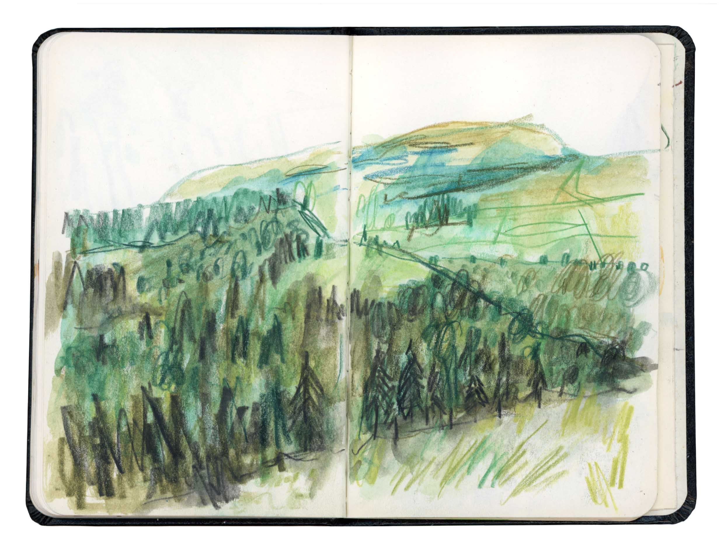 Page 1 online.jpg