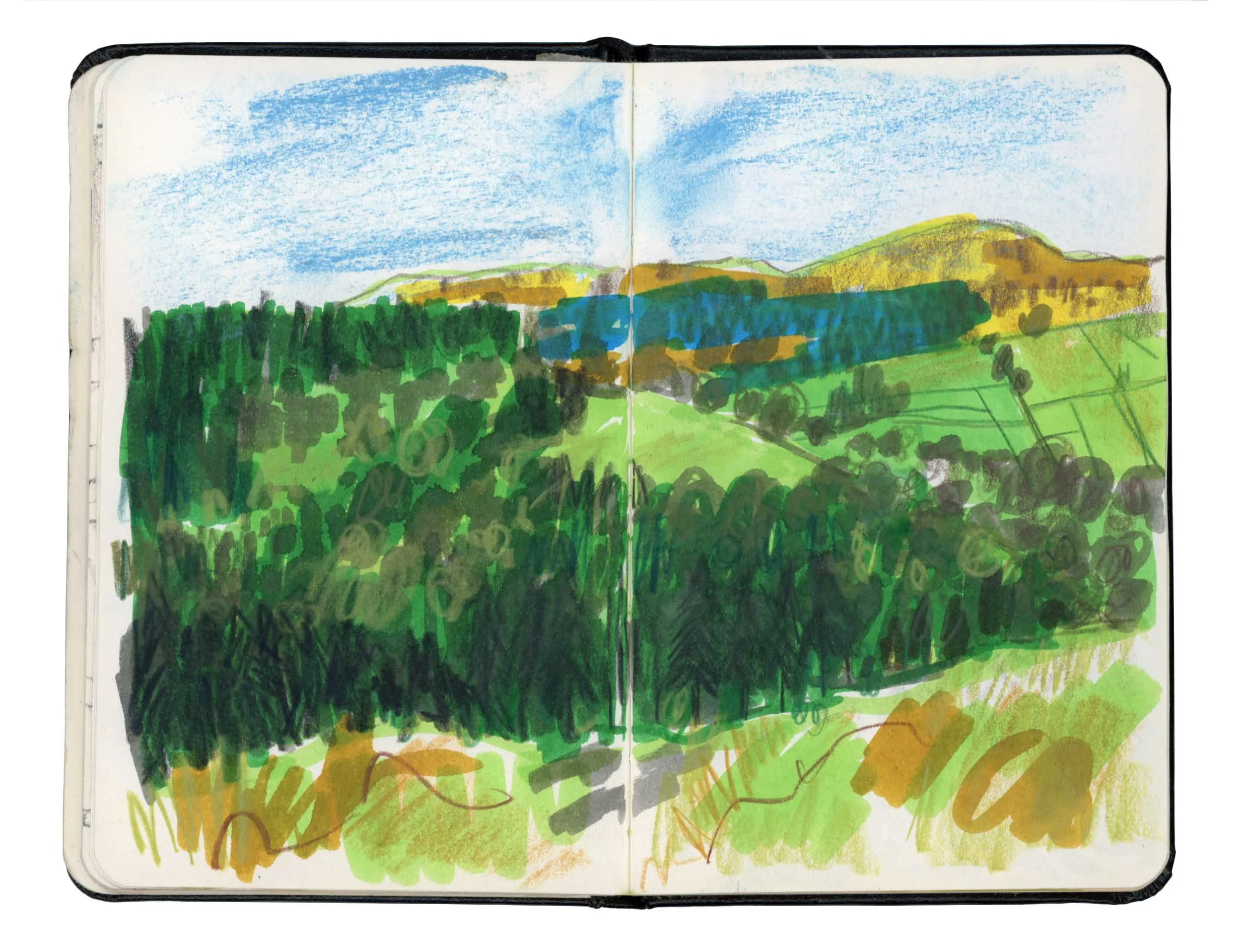 Page 3 online.jpg