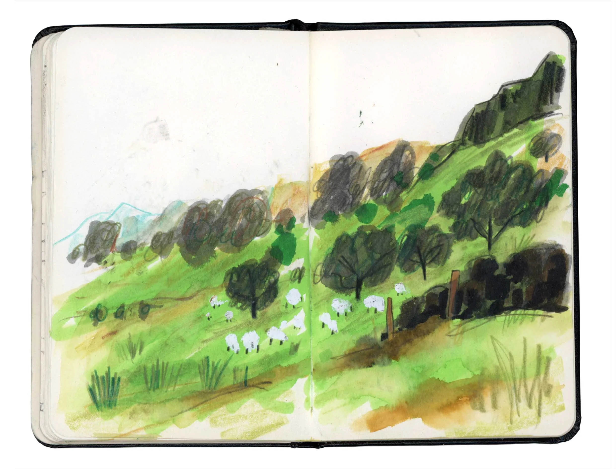Page 7 online.jpg