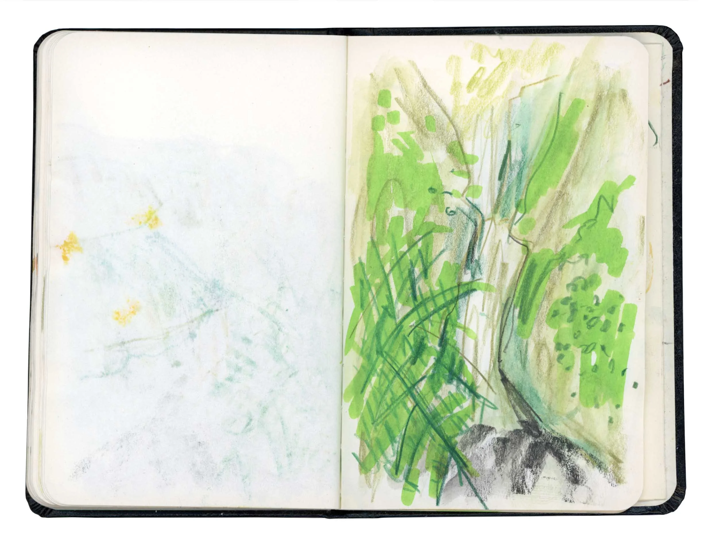 Page 10 online.jpg