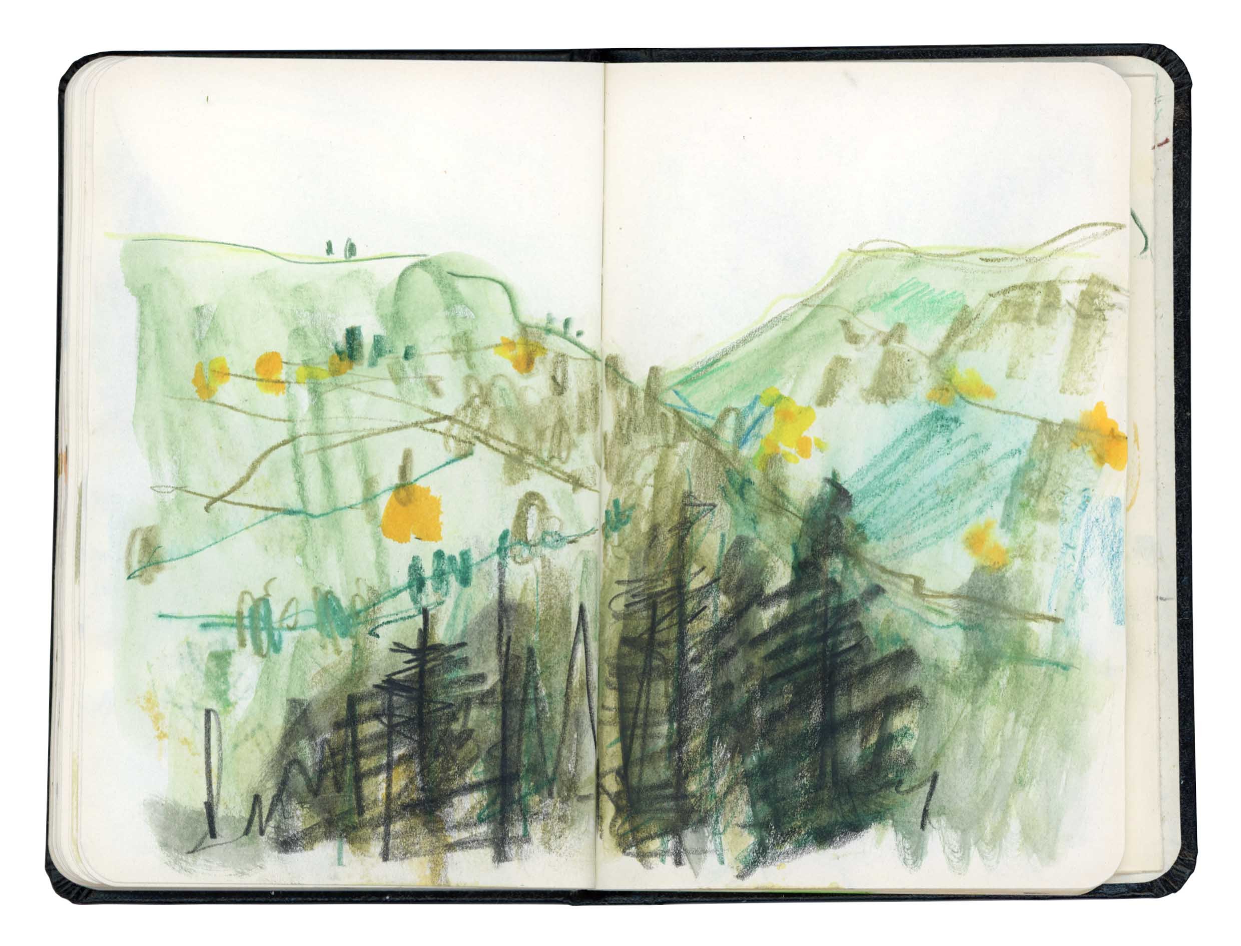 Page 11 online.jpg
