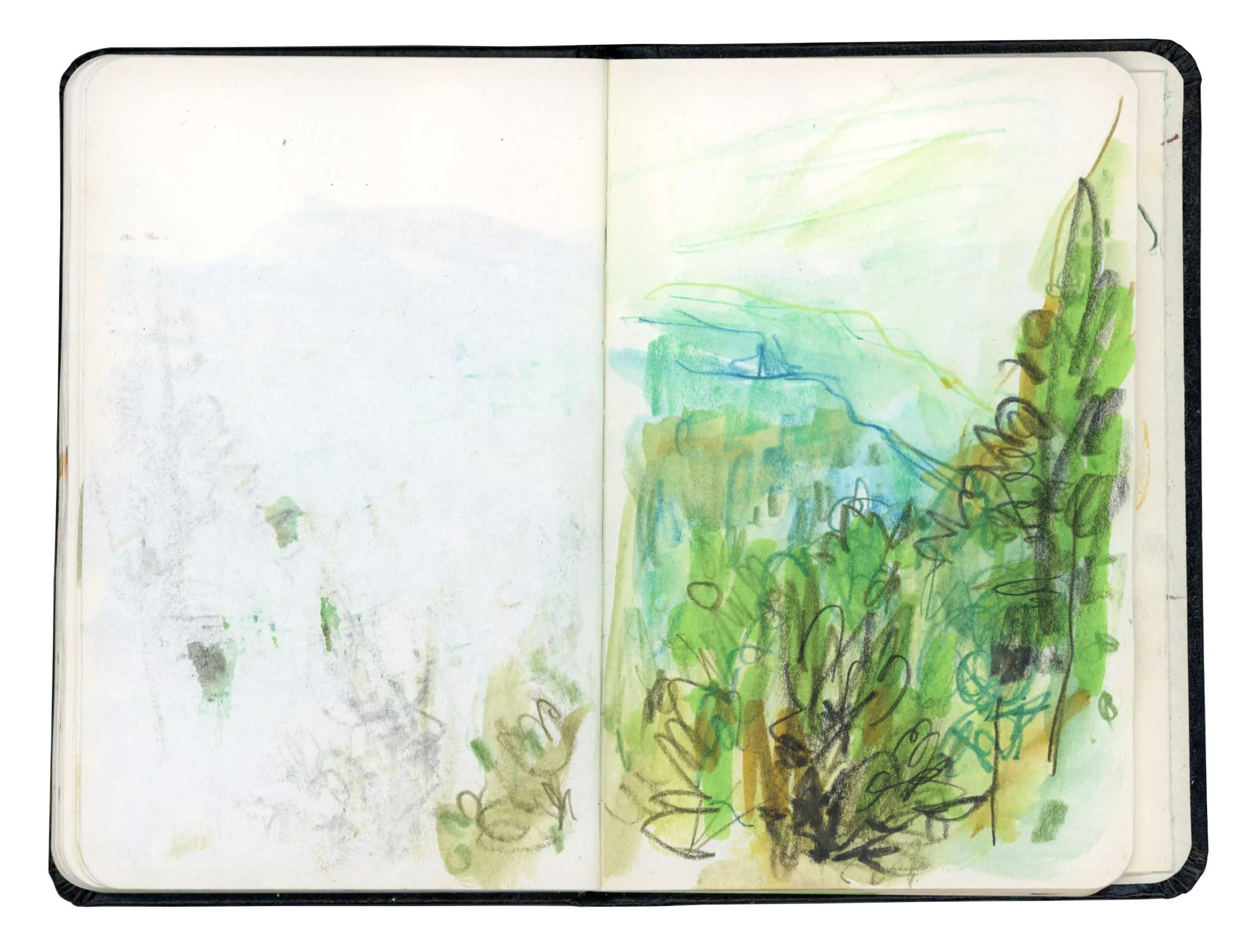 Page 12 online.jpg