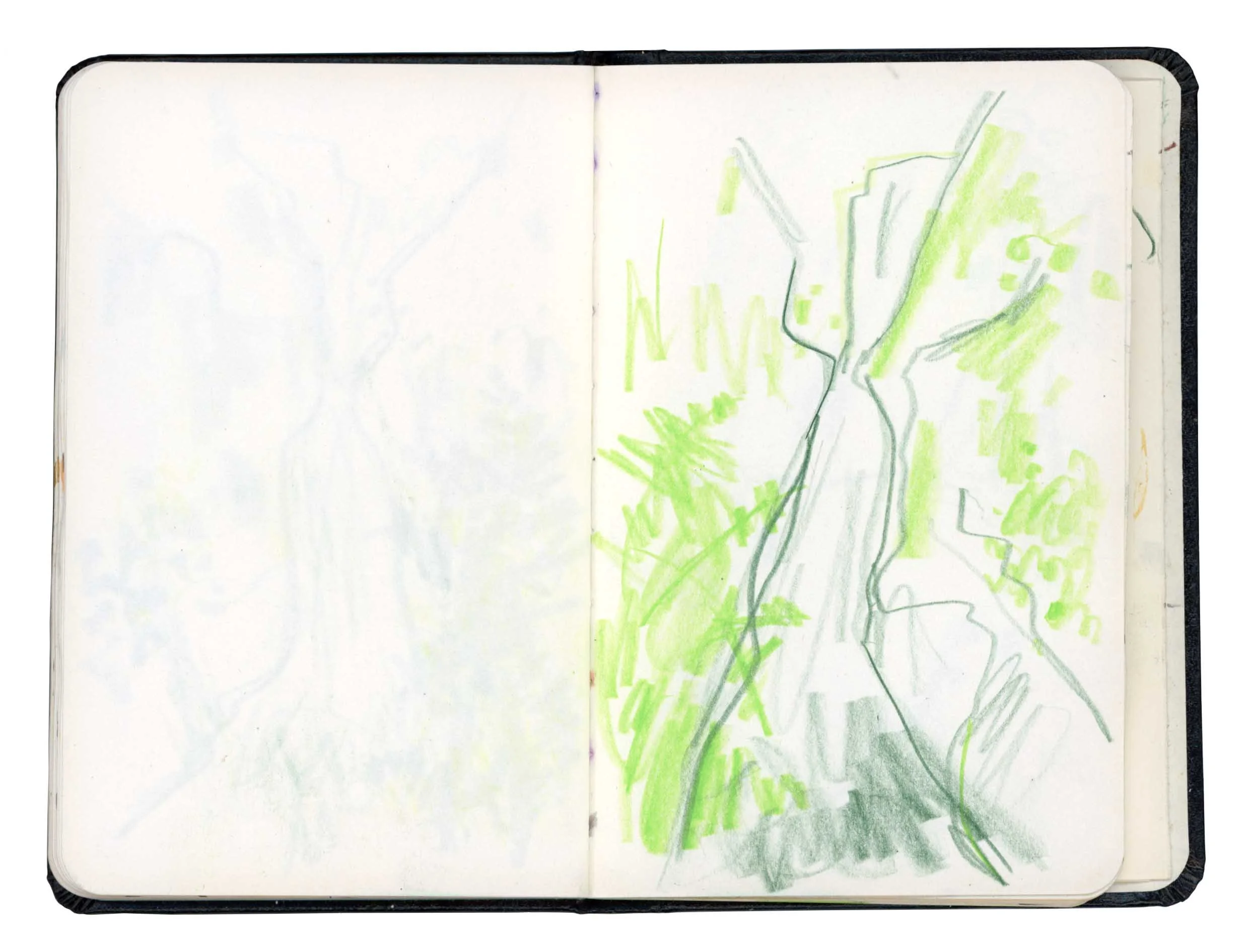 Page 14 online.jpg