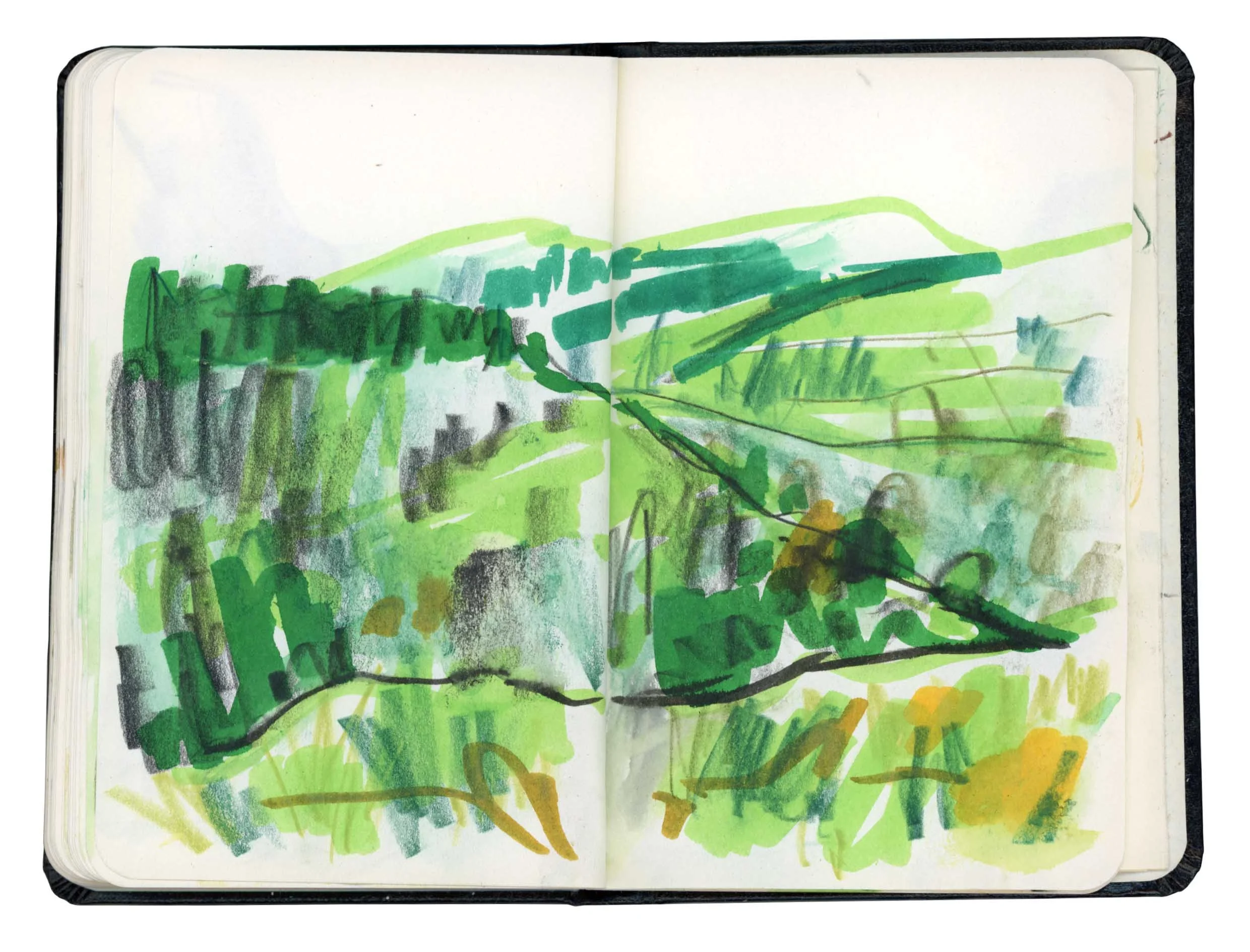 Page 16 online.jpg