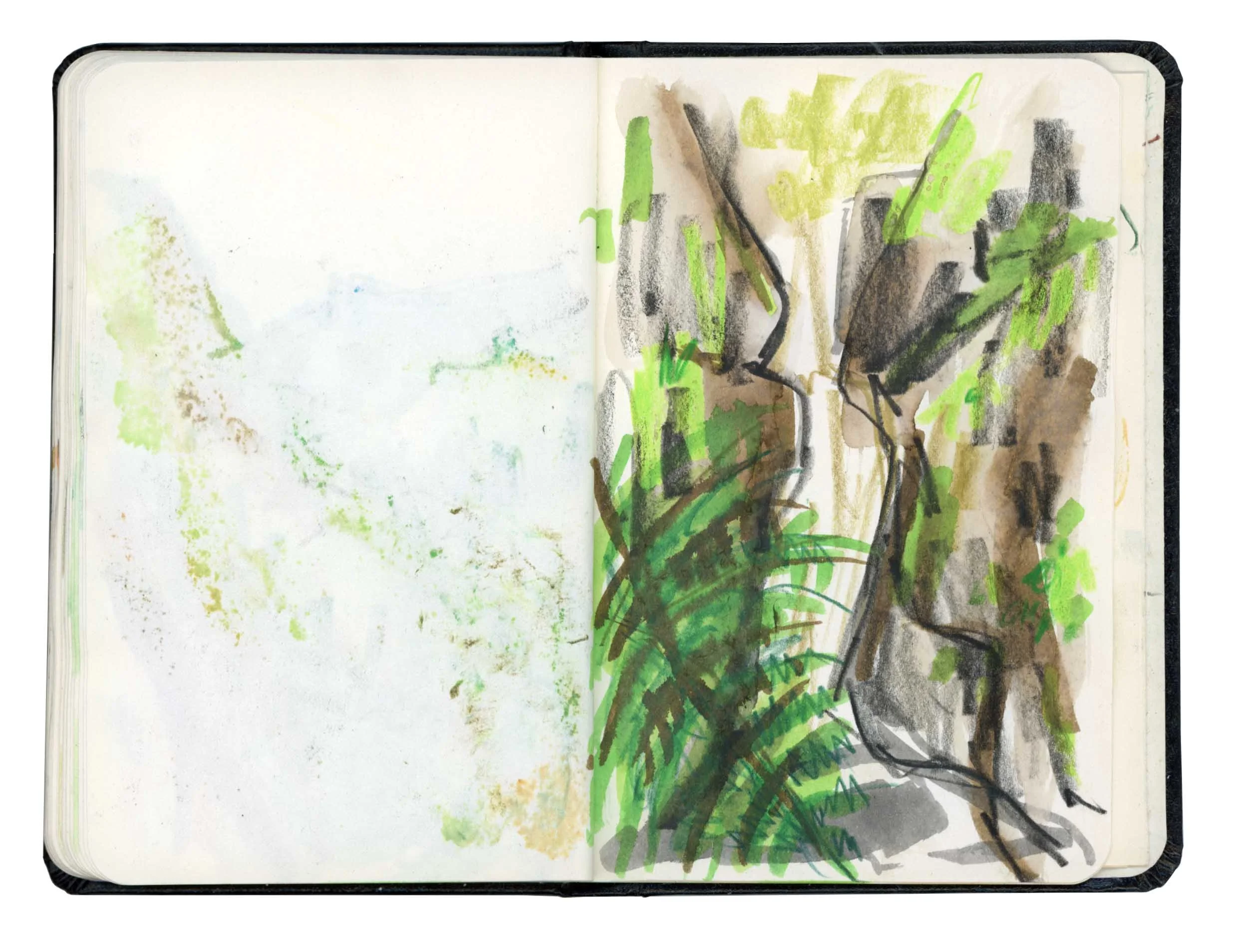 Page 20 online.jpg