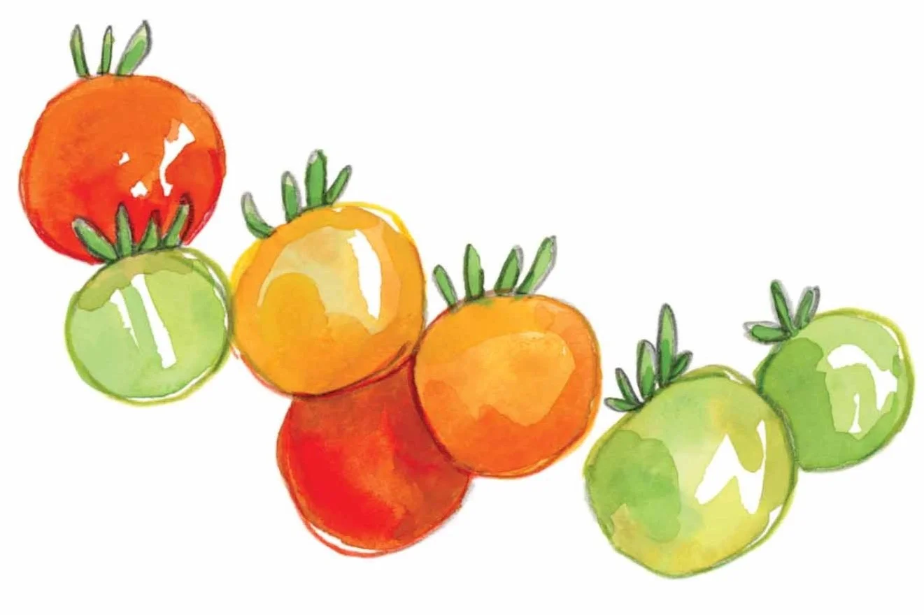 Tomatoes-1+copy+instagram.jpg