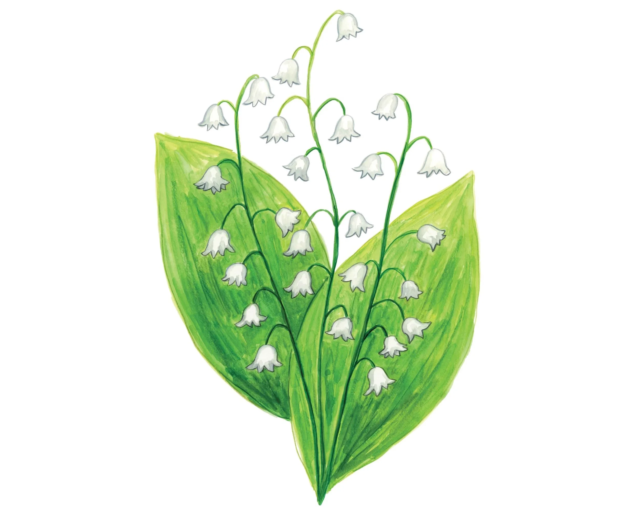 flowers+instagram.jpg