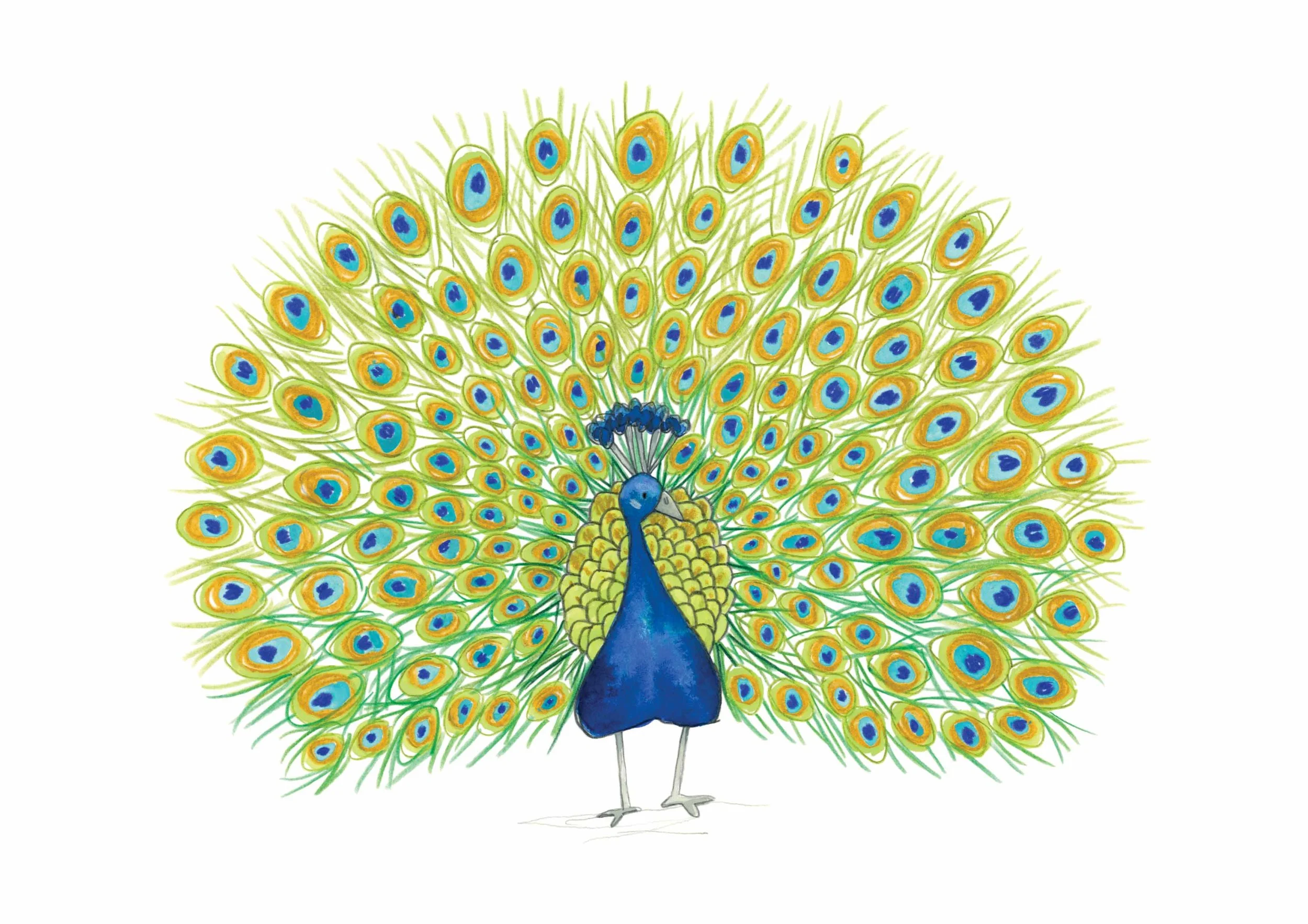 G O'Neill-Peacock online.jpg