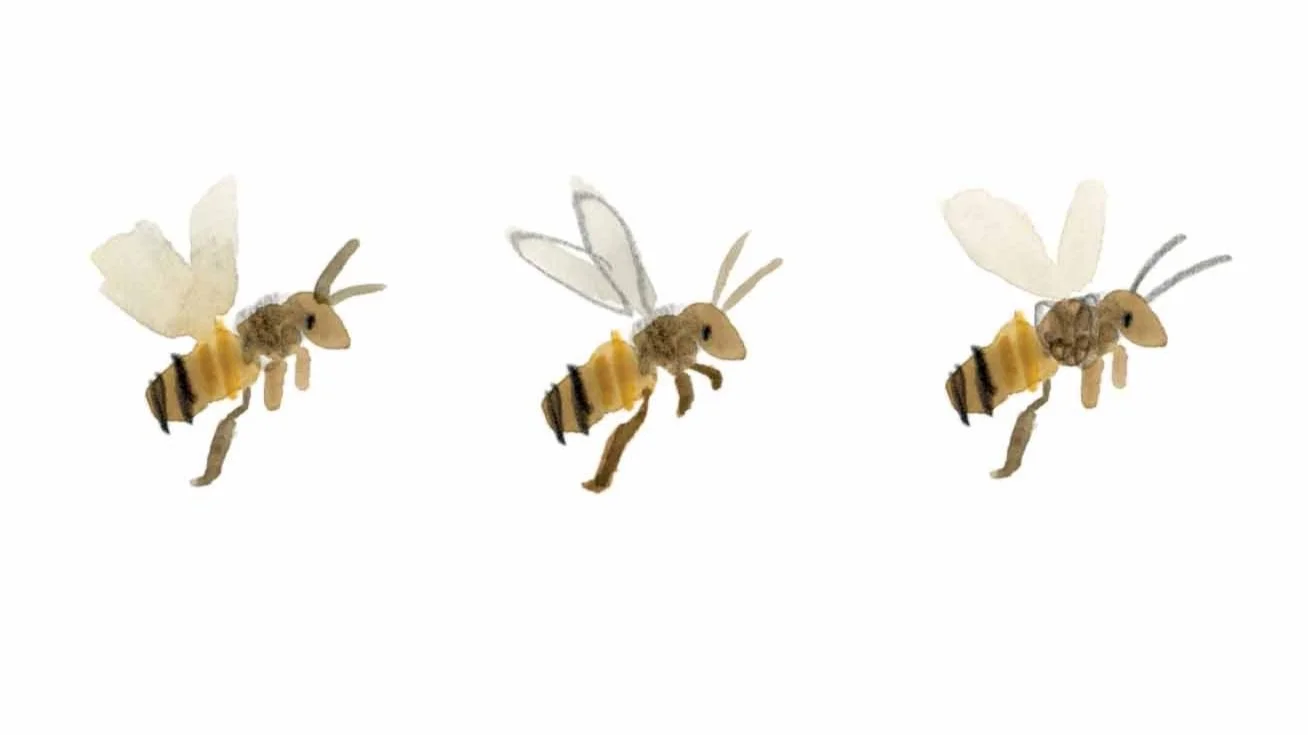 Bees+2-instagram+copy.jpg