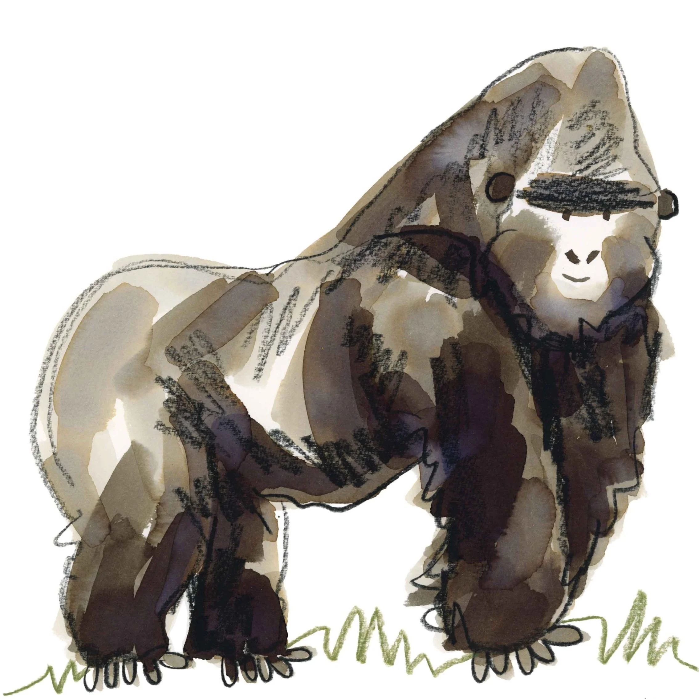 Gorilla+Original+1+online.jpg