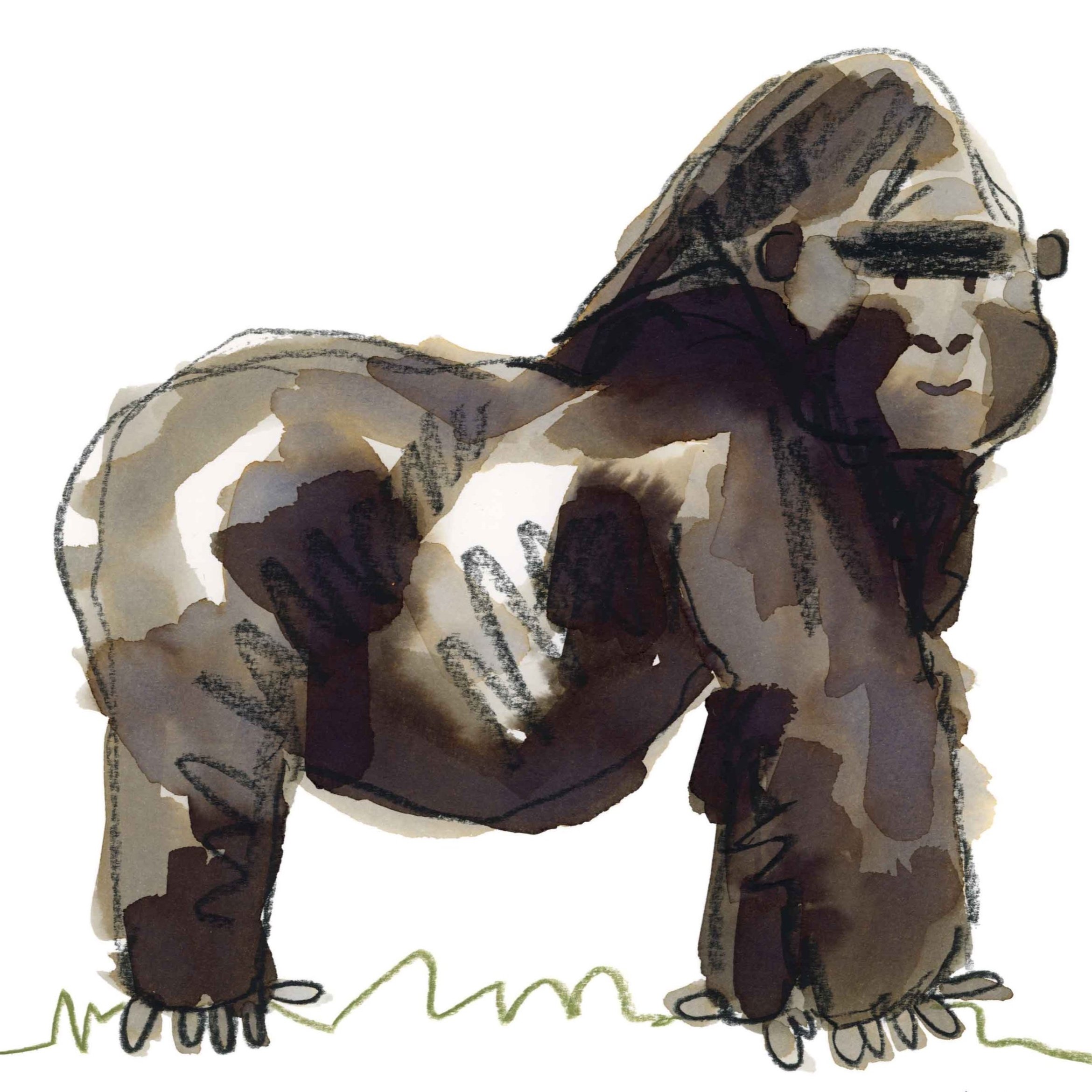 Gorilla+Original+2+online.jpg