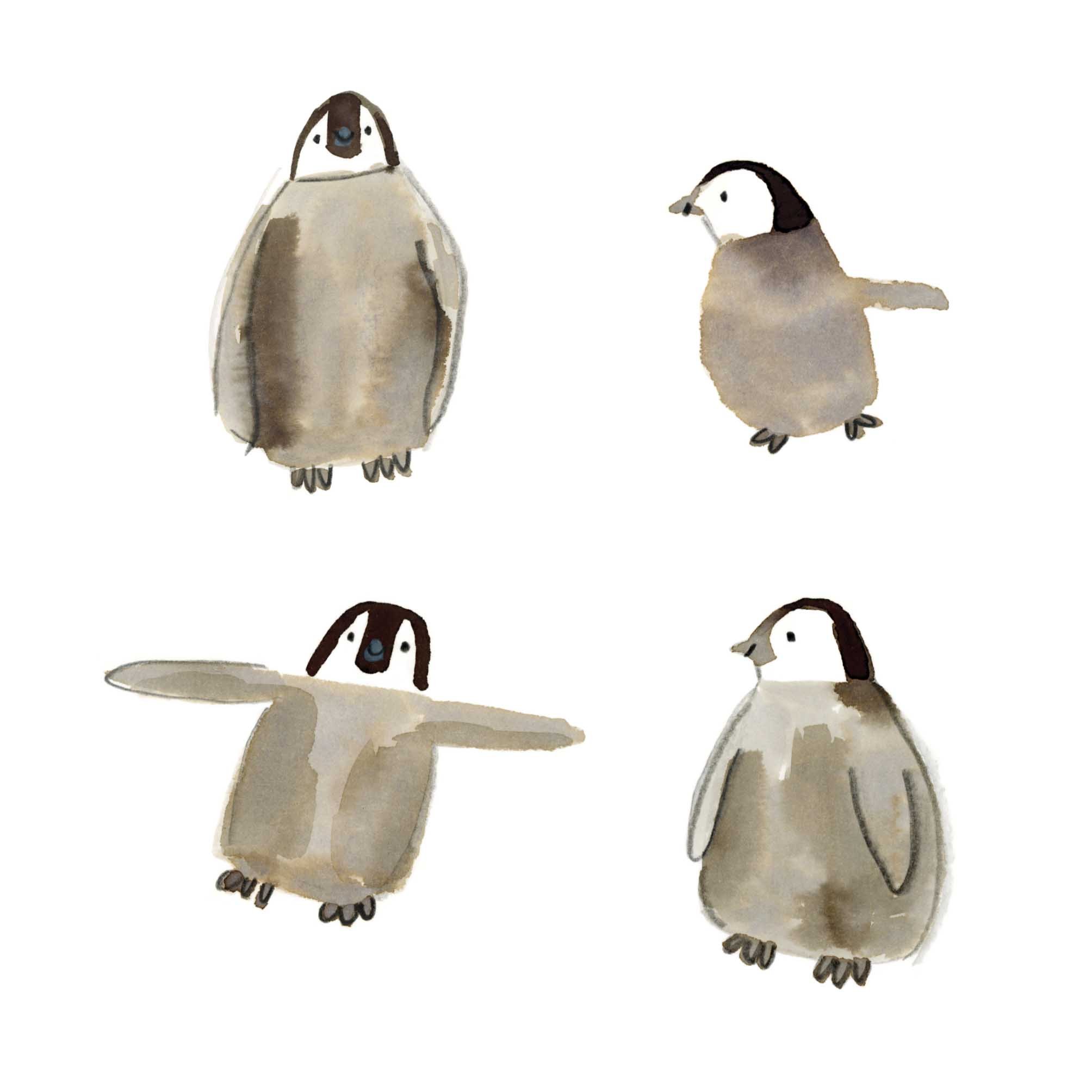 Baby Penguins online.jpg