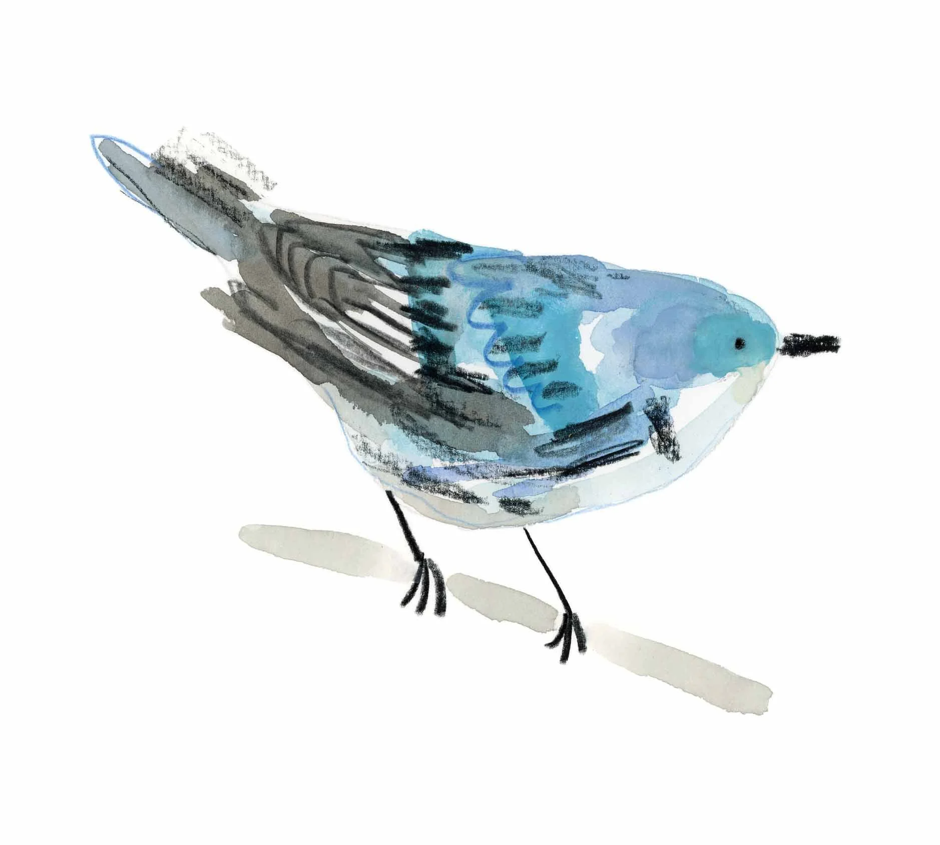 Cerulean Warbler online.jpg