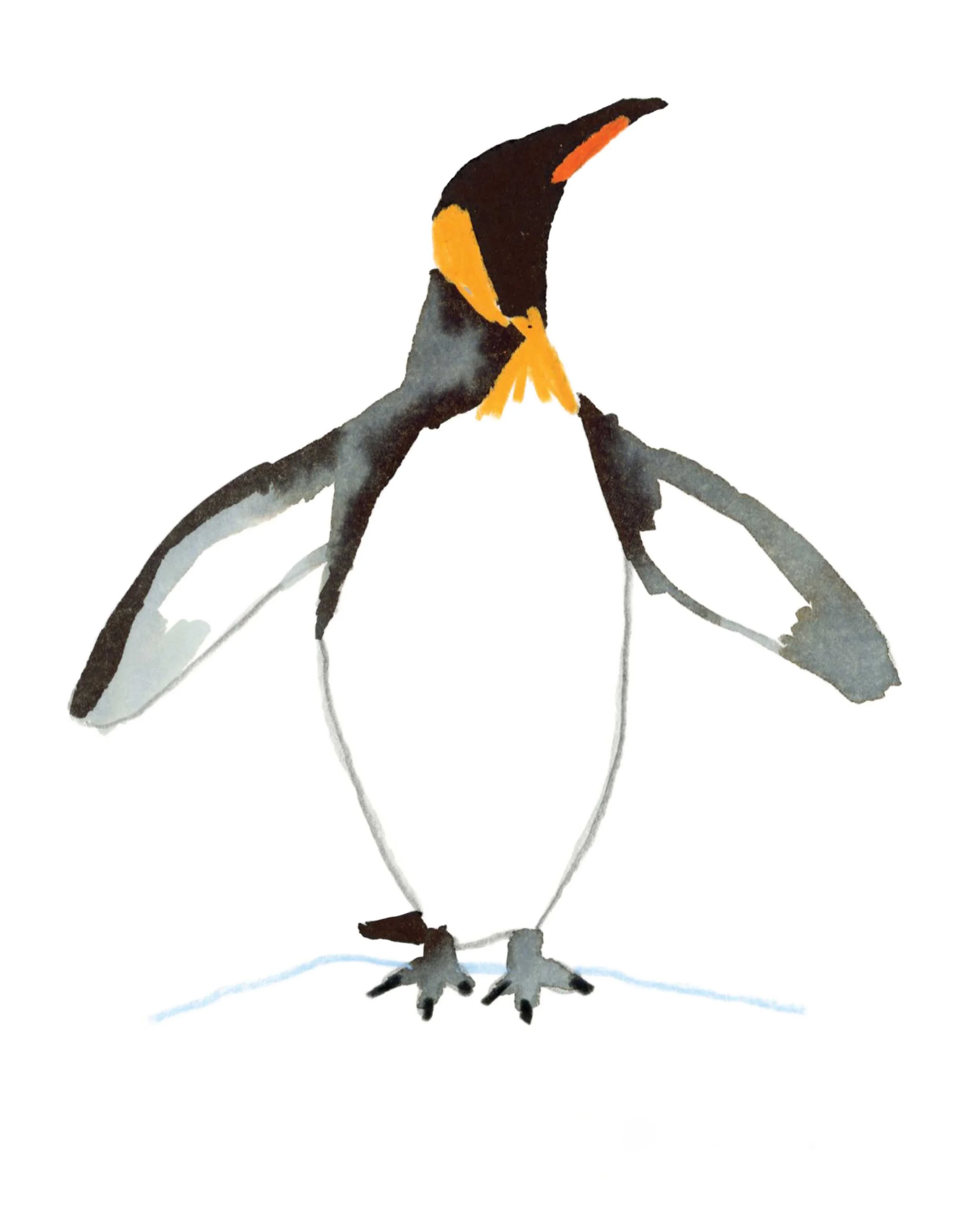 King Penguin 1 online copy.jpg