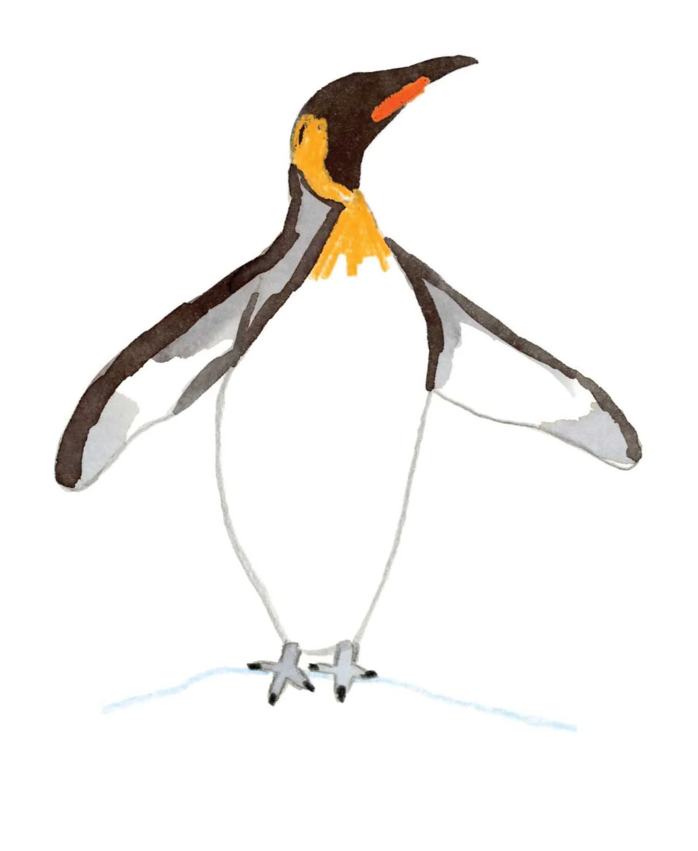 King Penguin 2 online copy.jpg