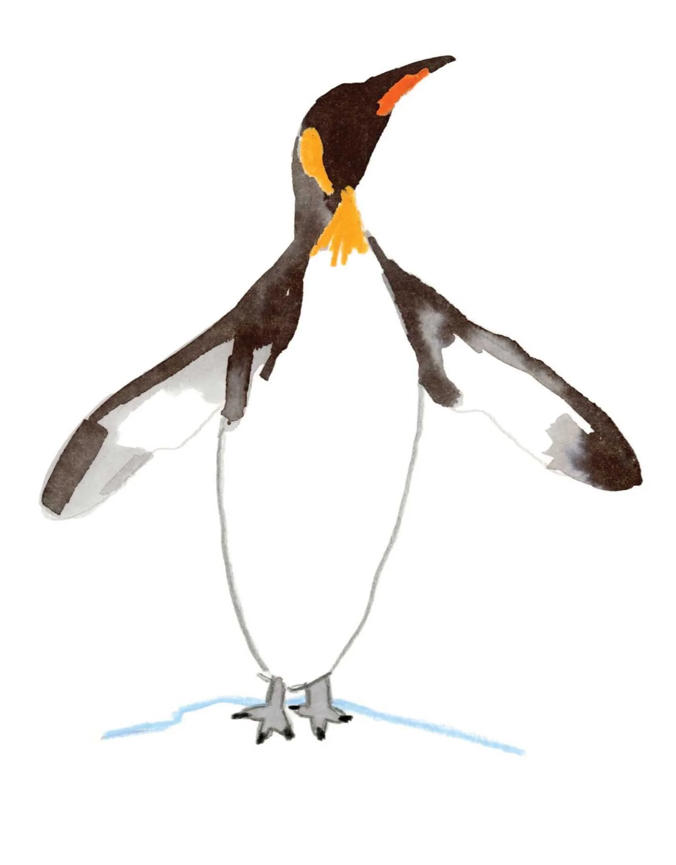 King Penguin 3 online copy.jpg
