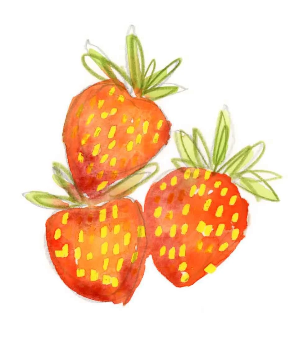 strawberries 2.jpg
