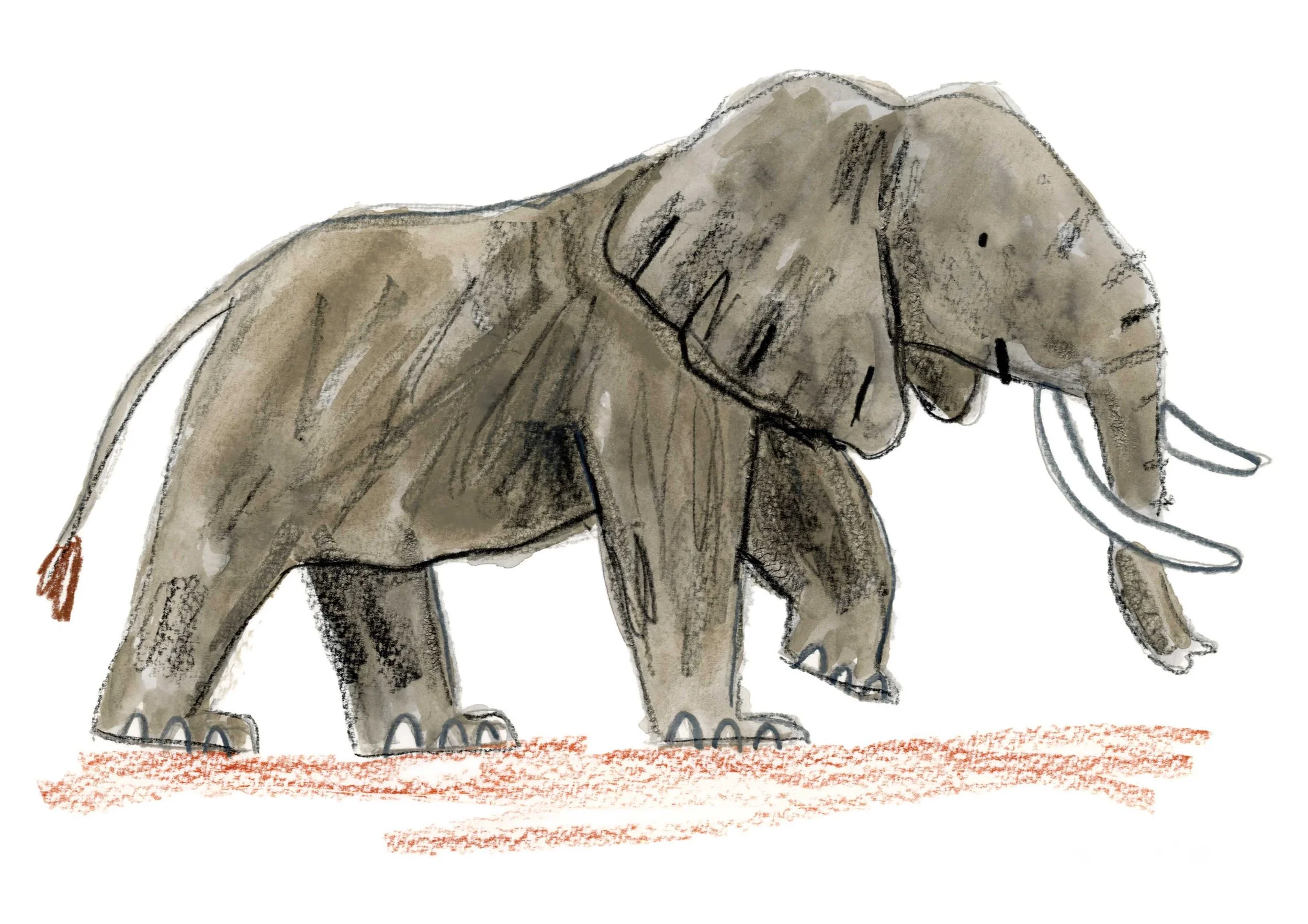 Elephant Original 1 online.jpg