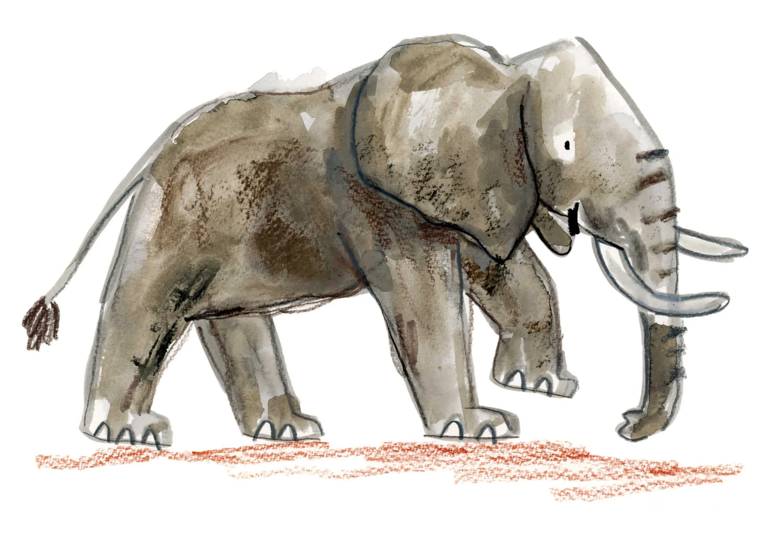 Elephant Original 2 online.jpg