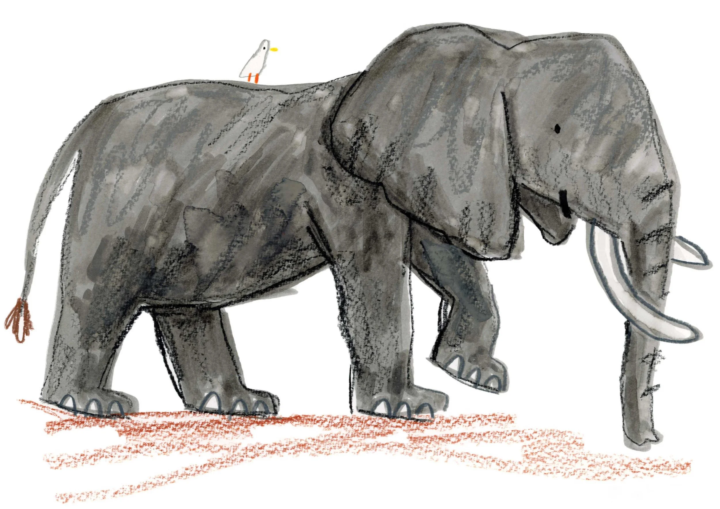Elephant Original 4 online.jpg