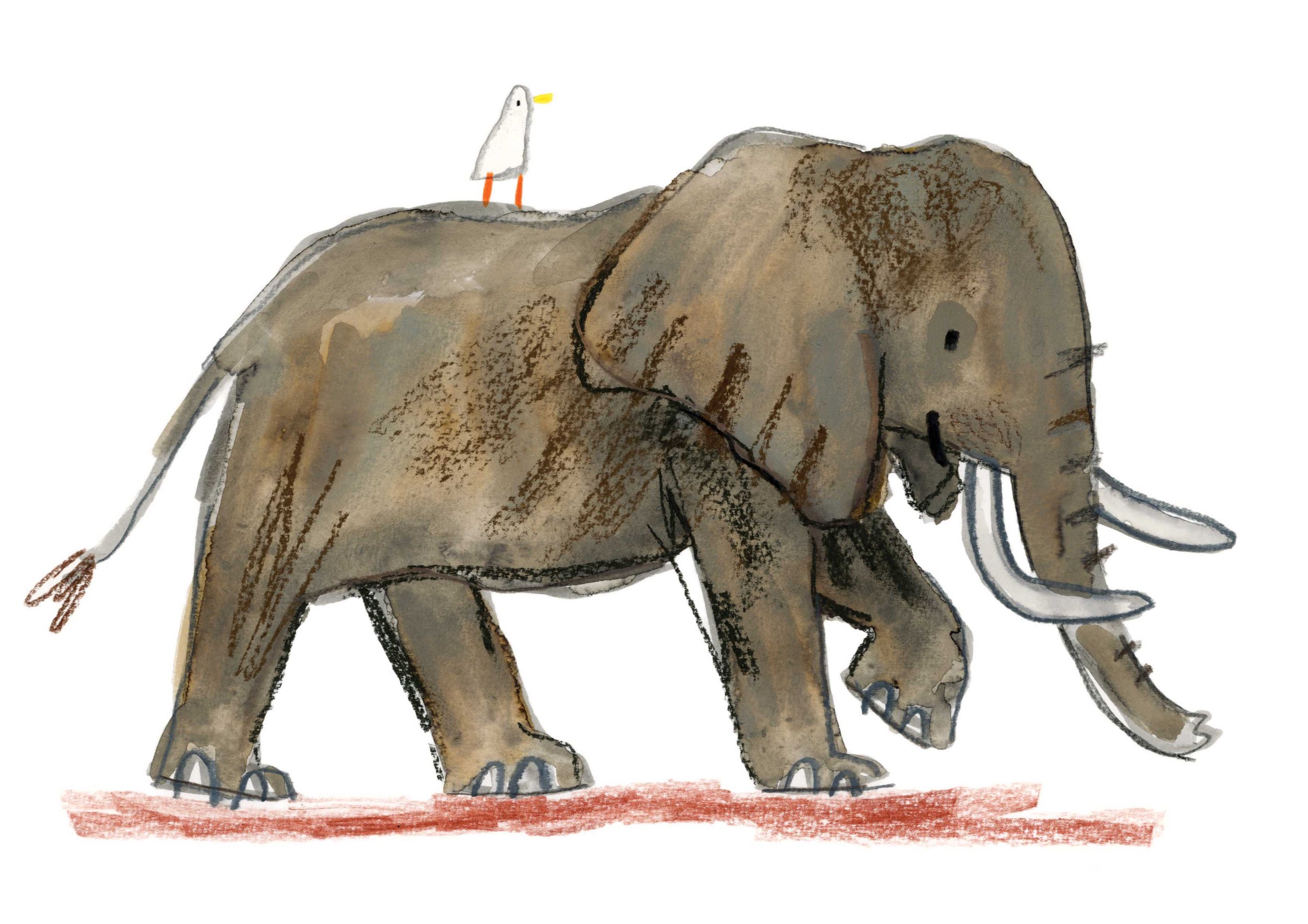 Elephant Original 5 online.jpg