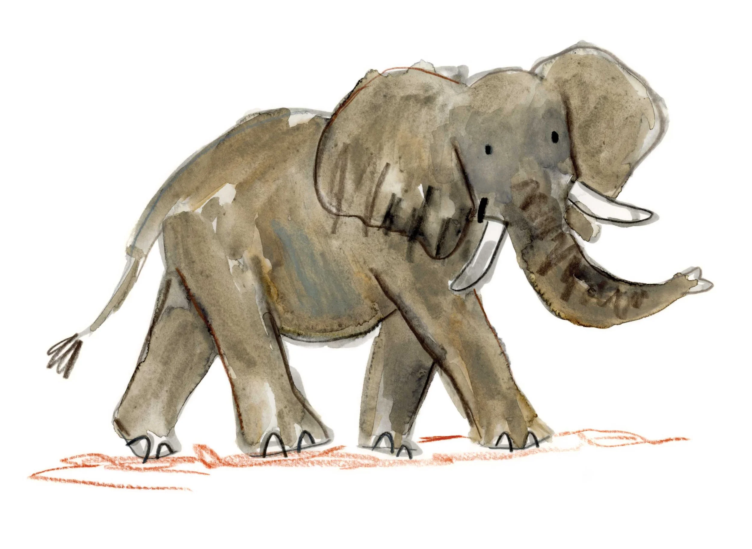 Elephant Original 6 online.jpg