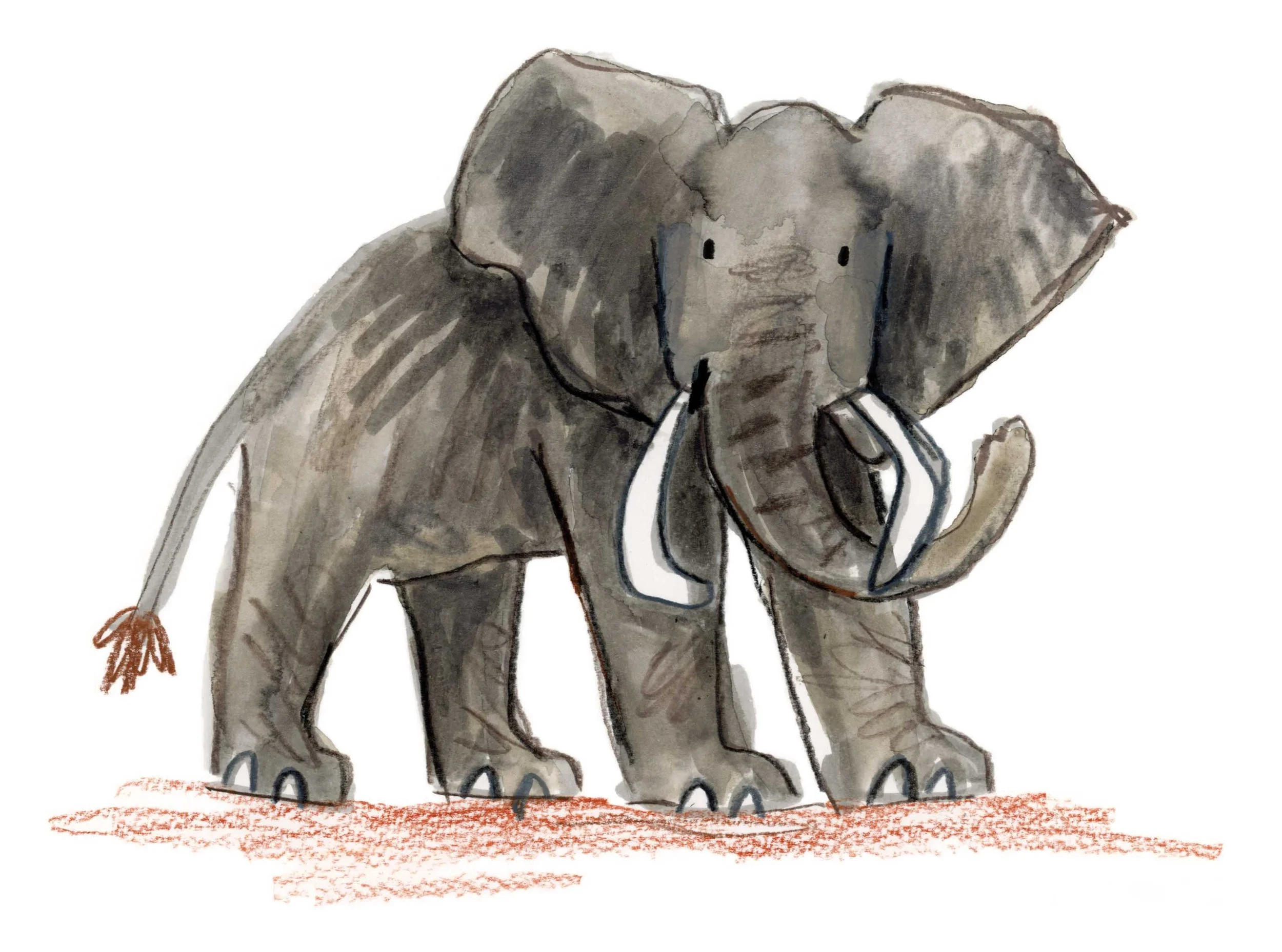 Elephant Original 7 online.jpg