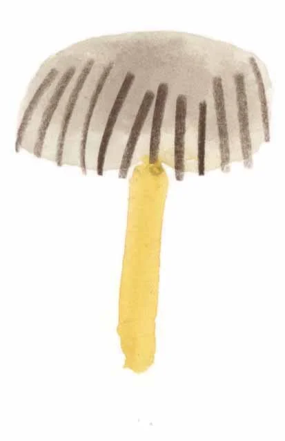 Little mushroom 9 online.jpg
