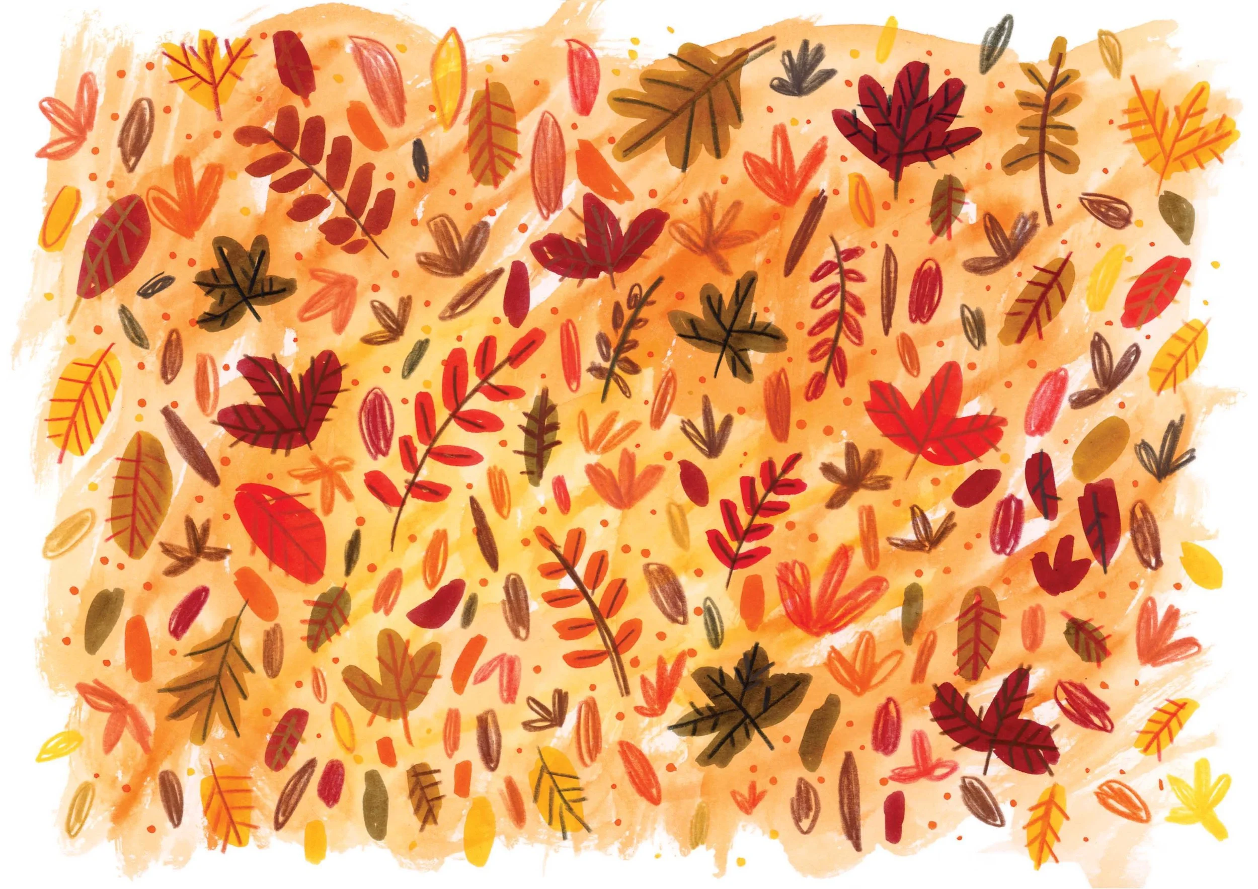 Autumn leaves 1.jpg