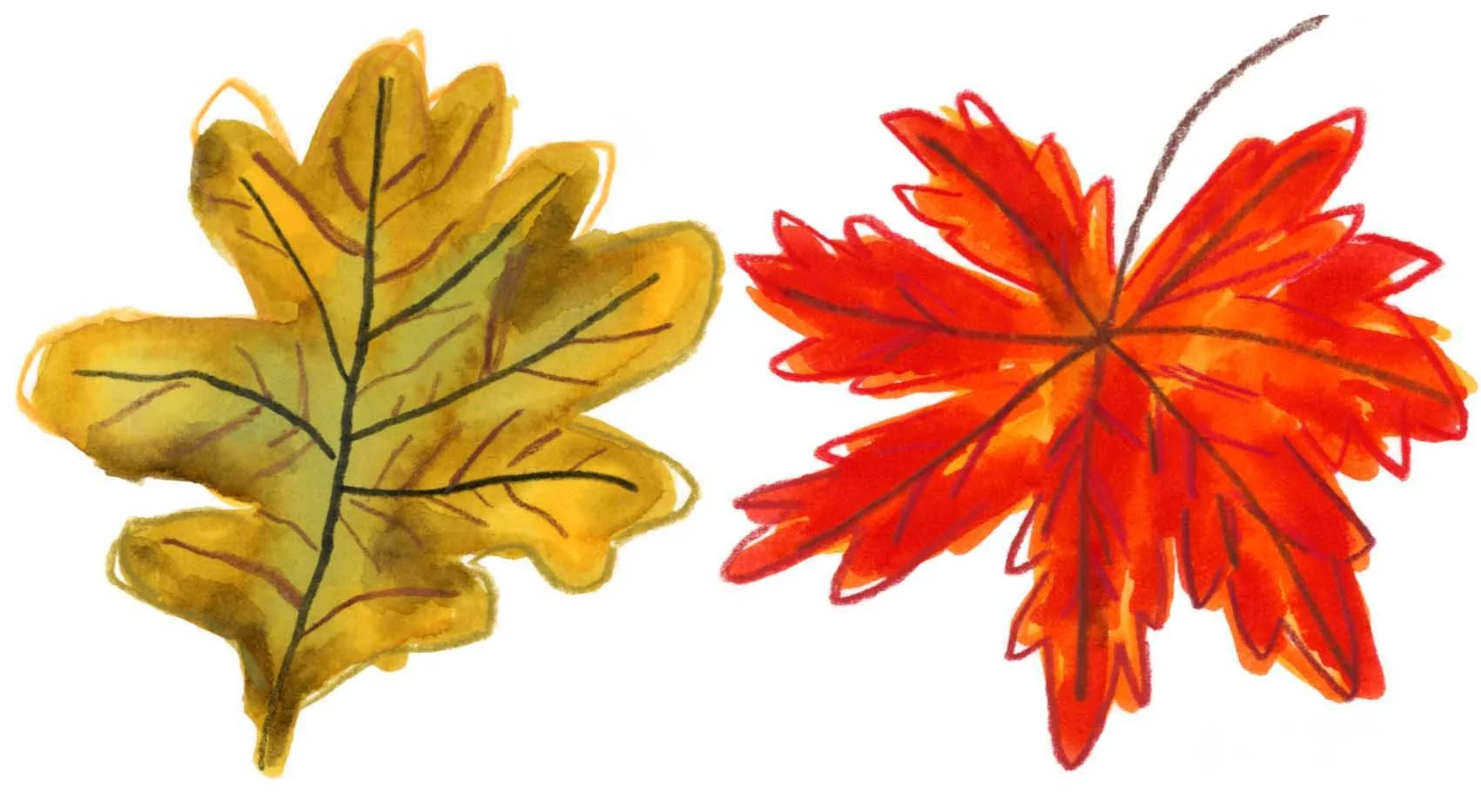 Autumn Leaves 2 online.jpg