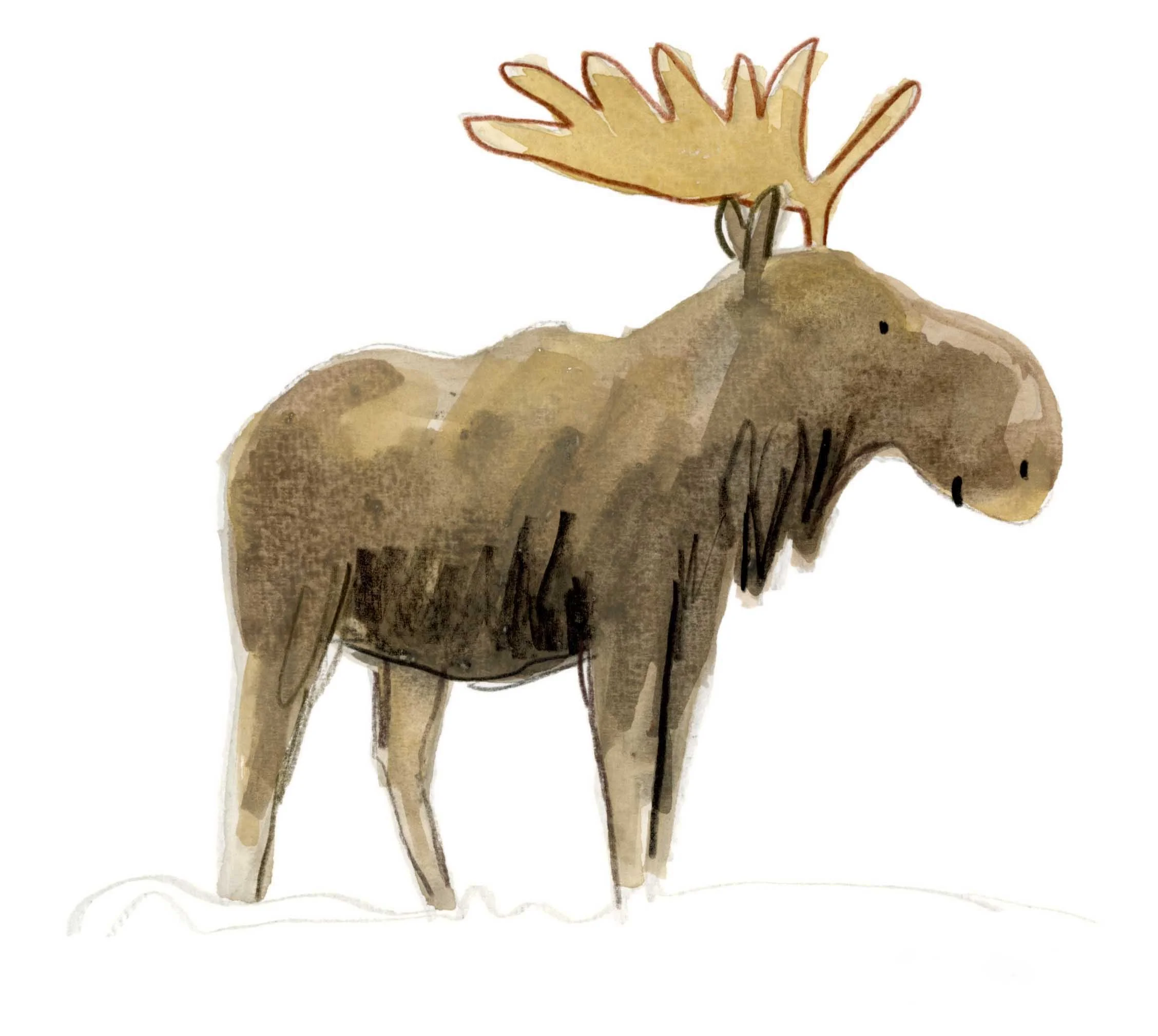 Moose 3 online.jpg
