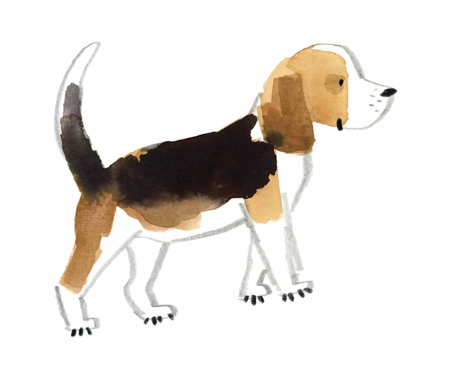 Beagle Original 3 online.jpg