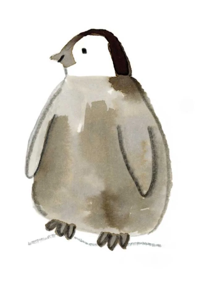 Baby Penguin 3 online.jpg