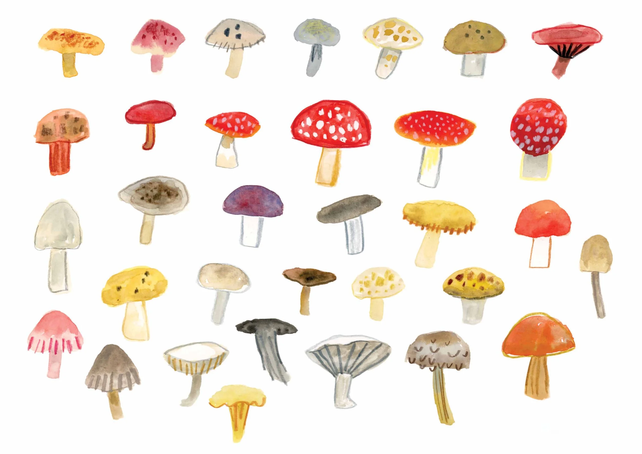 Mushrooms originals 1 online.jpg