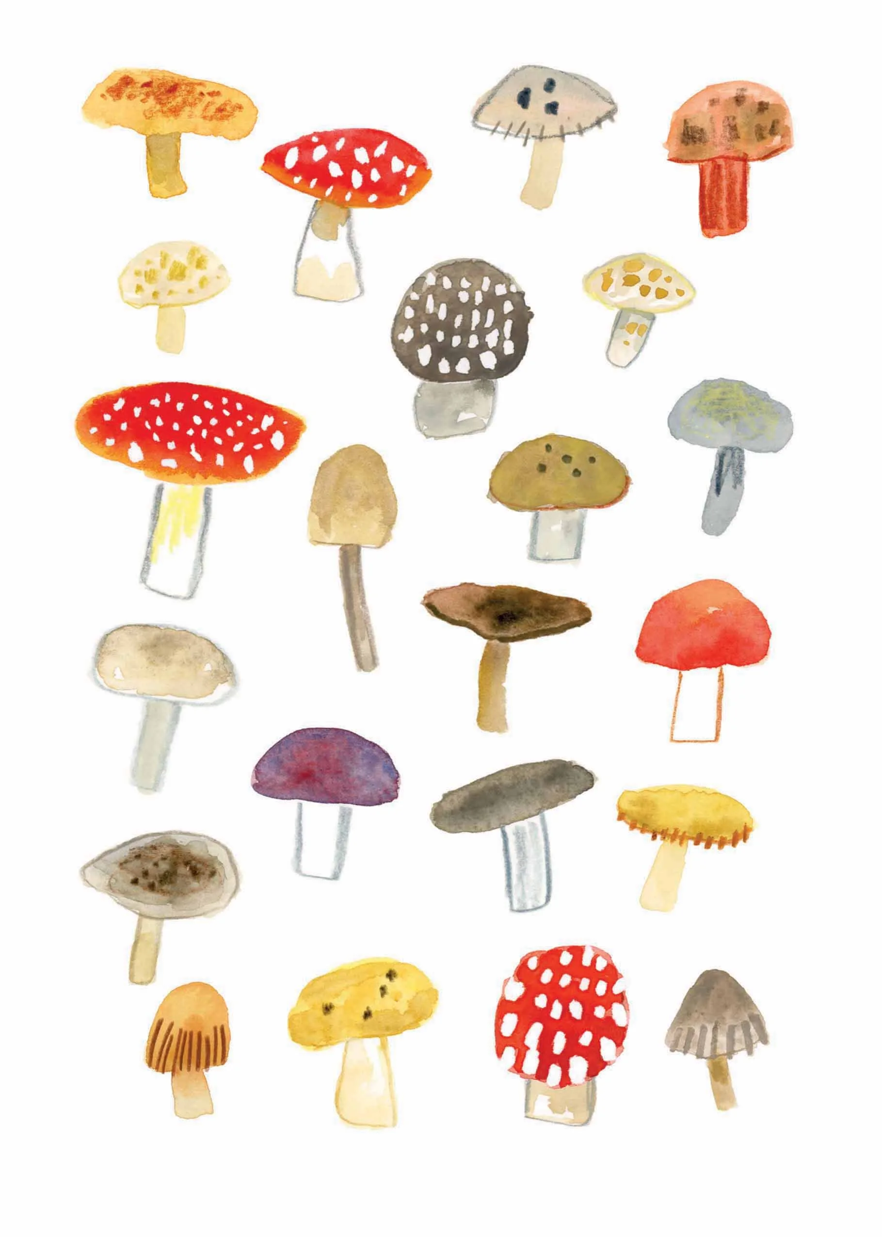 Mushrooms print online.jpg