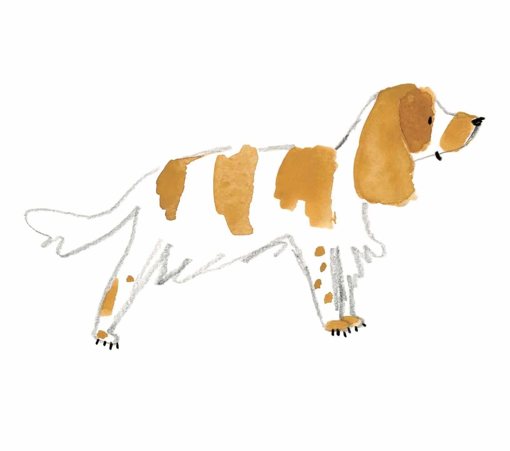 Orange Roan Original 1 online.jpg