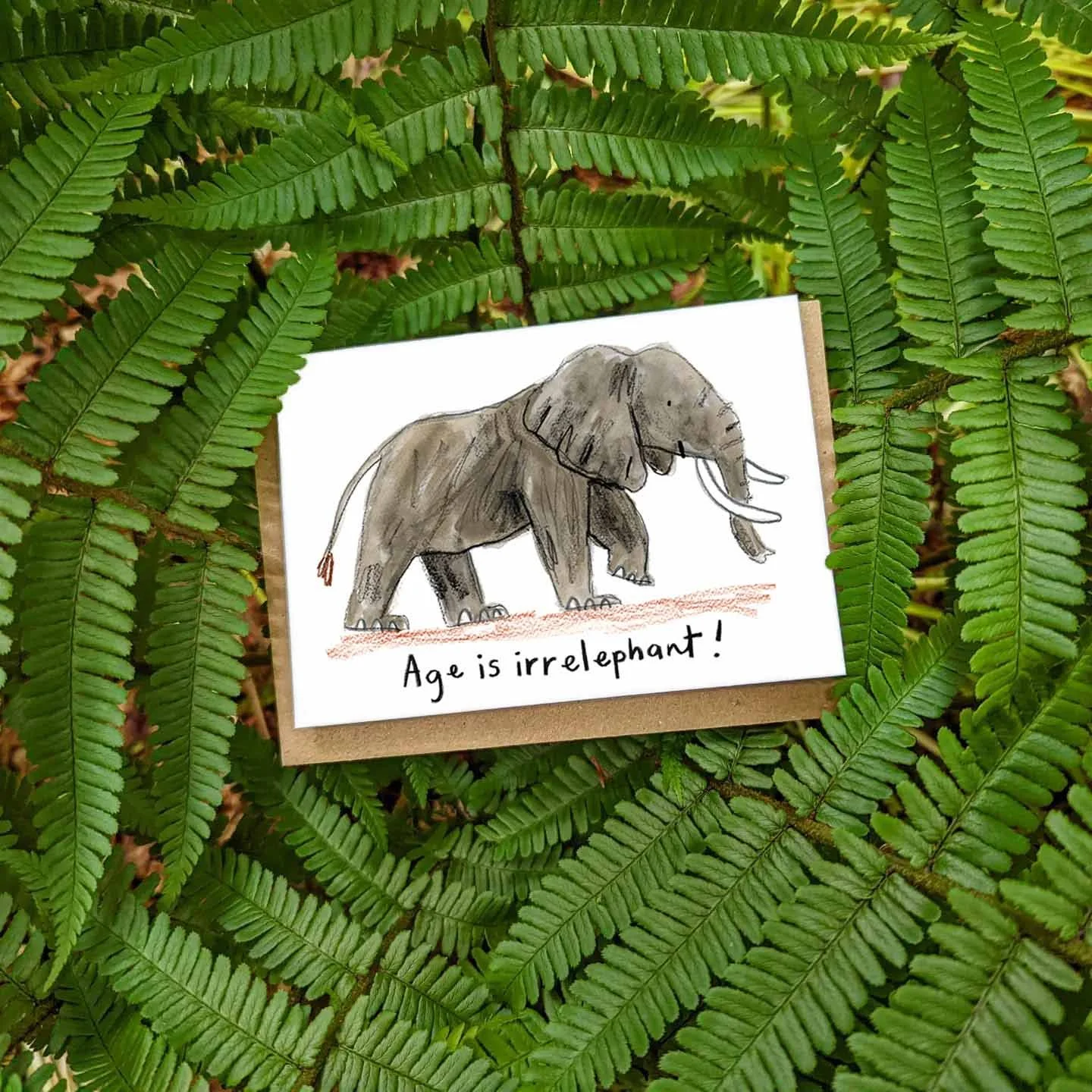 irrelephant promo 1.jpg